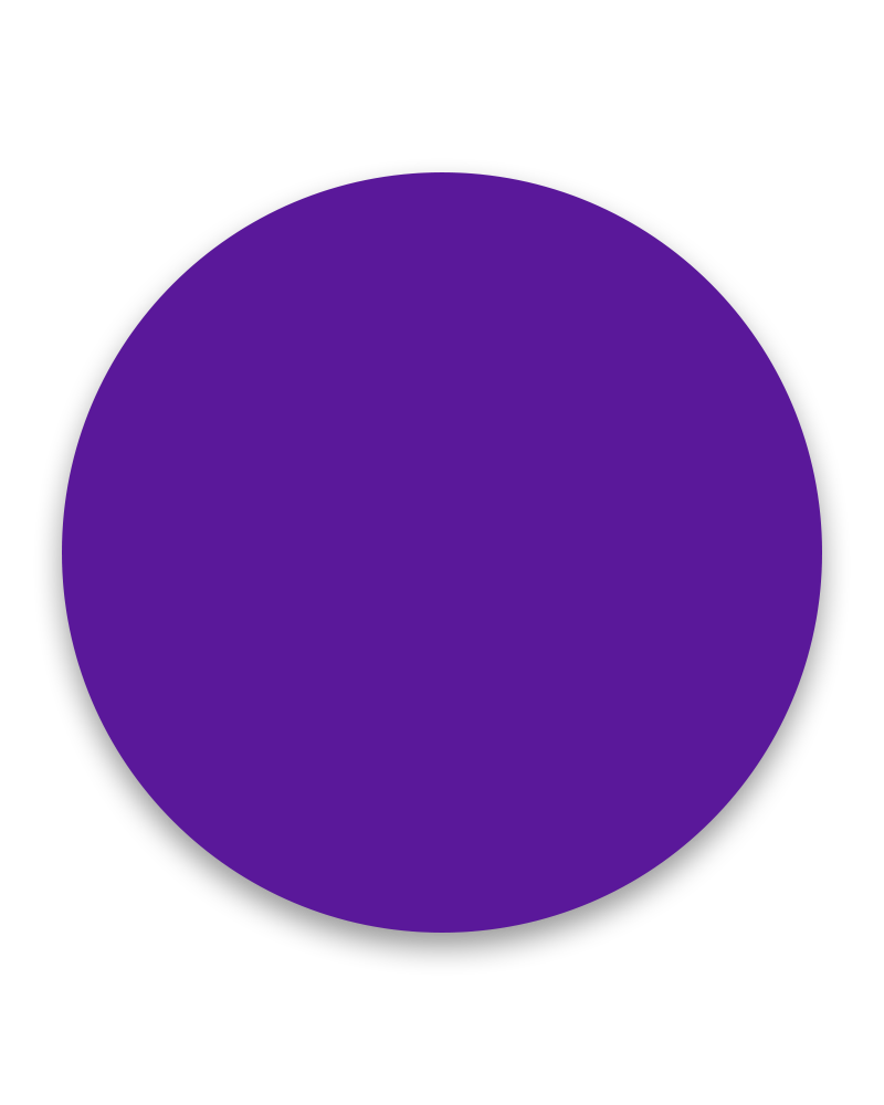 Large purple circle used as navigation item for Credentials