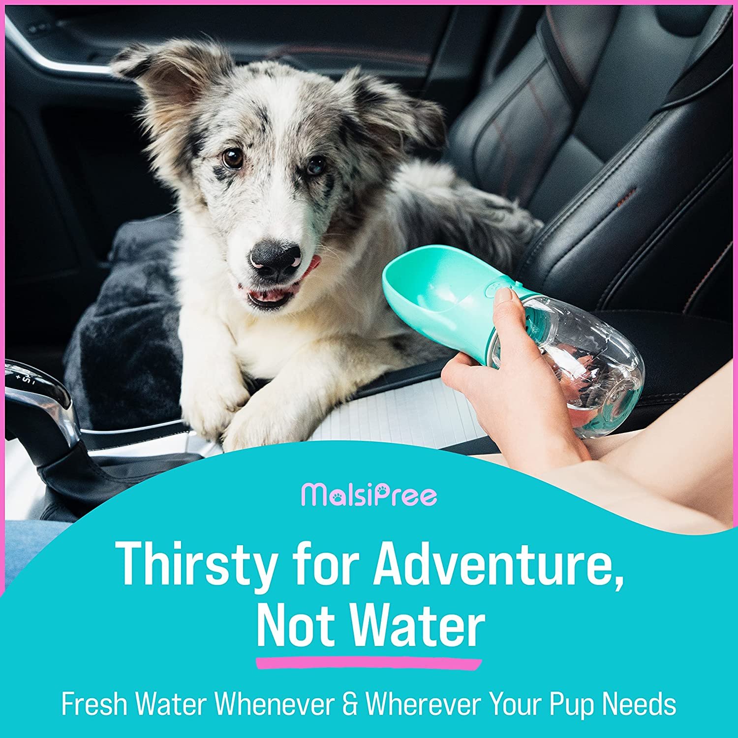 pet water bottle6.jpg