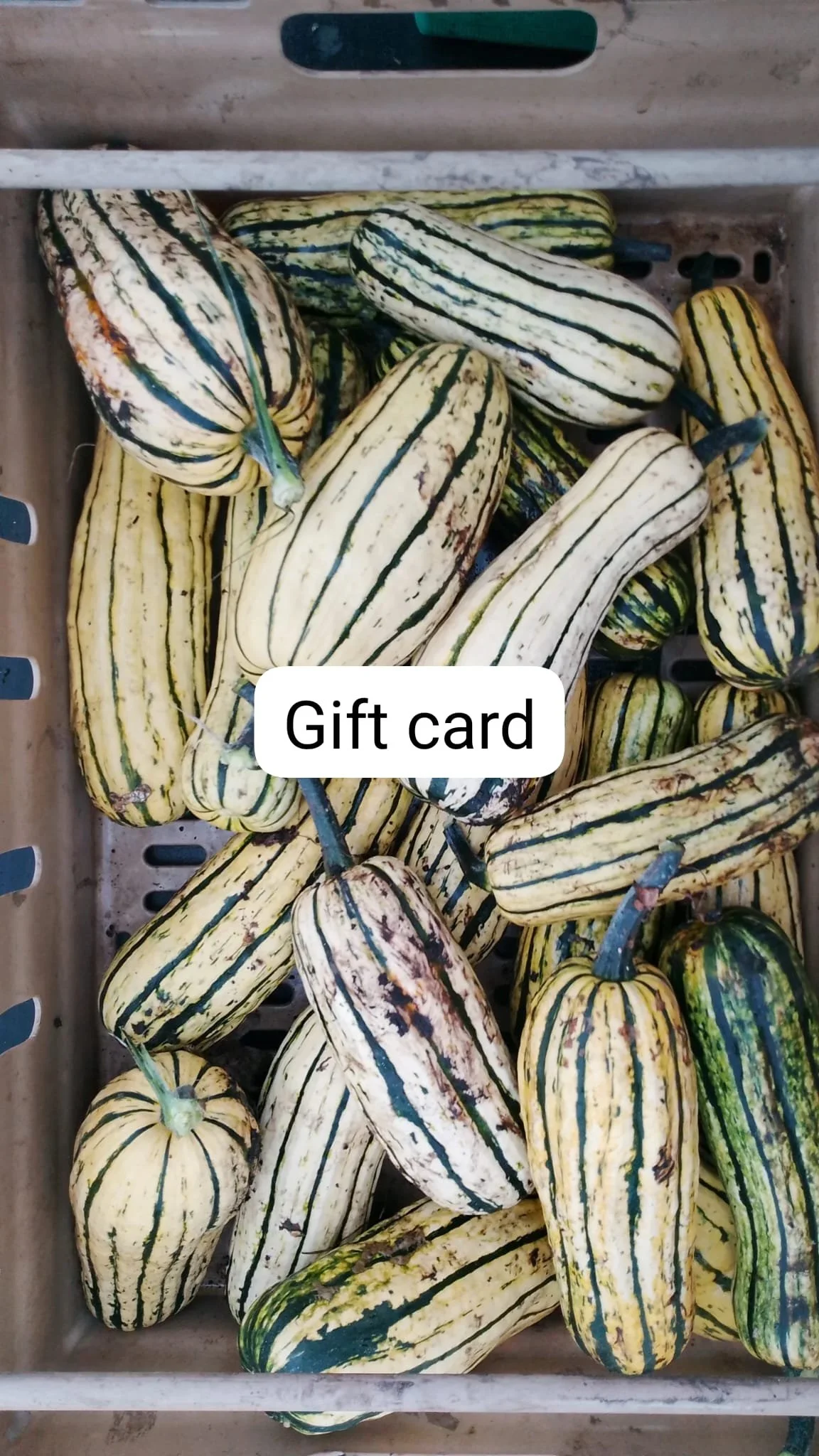 Waterland CSA Gift Voucher