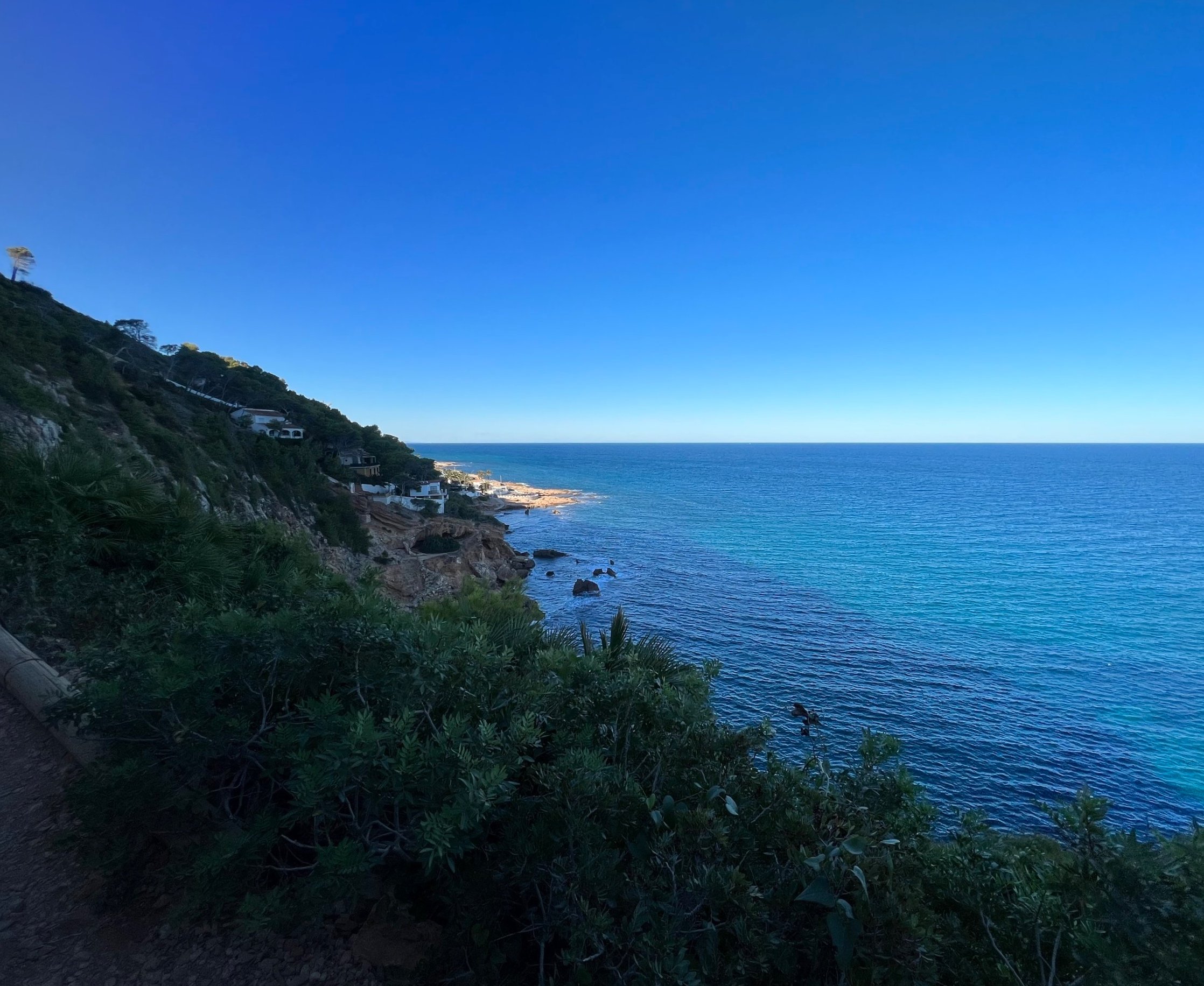 A blue sky and sea, with greenery in the foreground