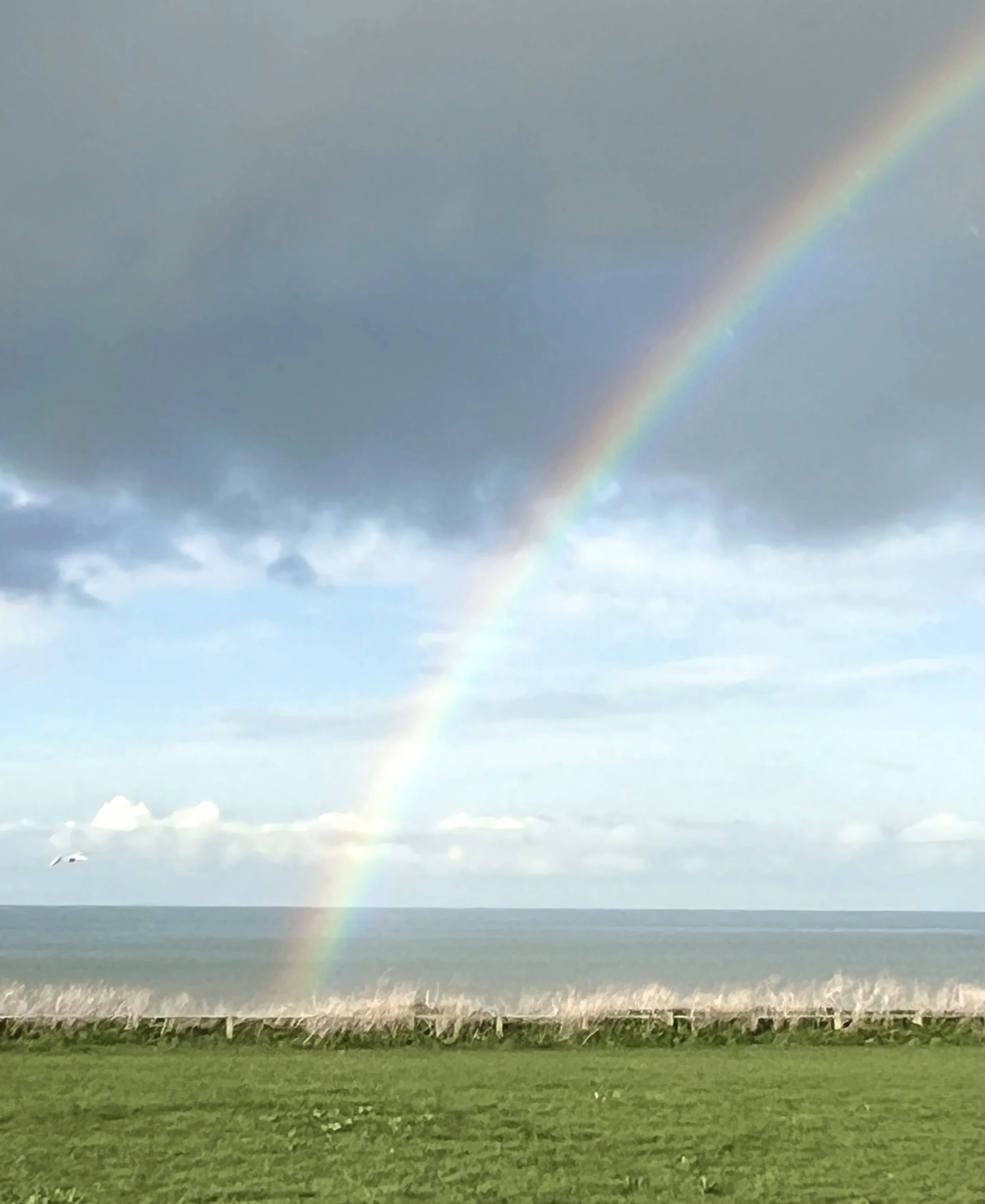 A rainbow going into the sea