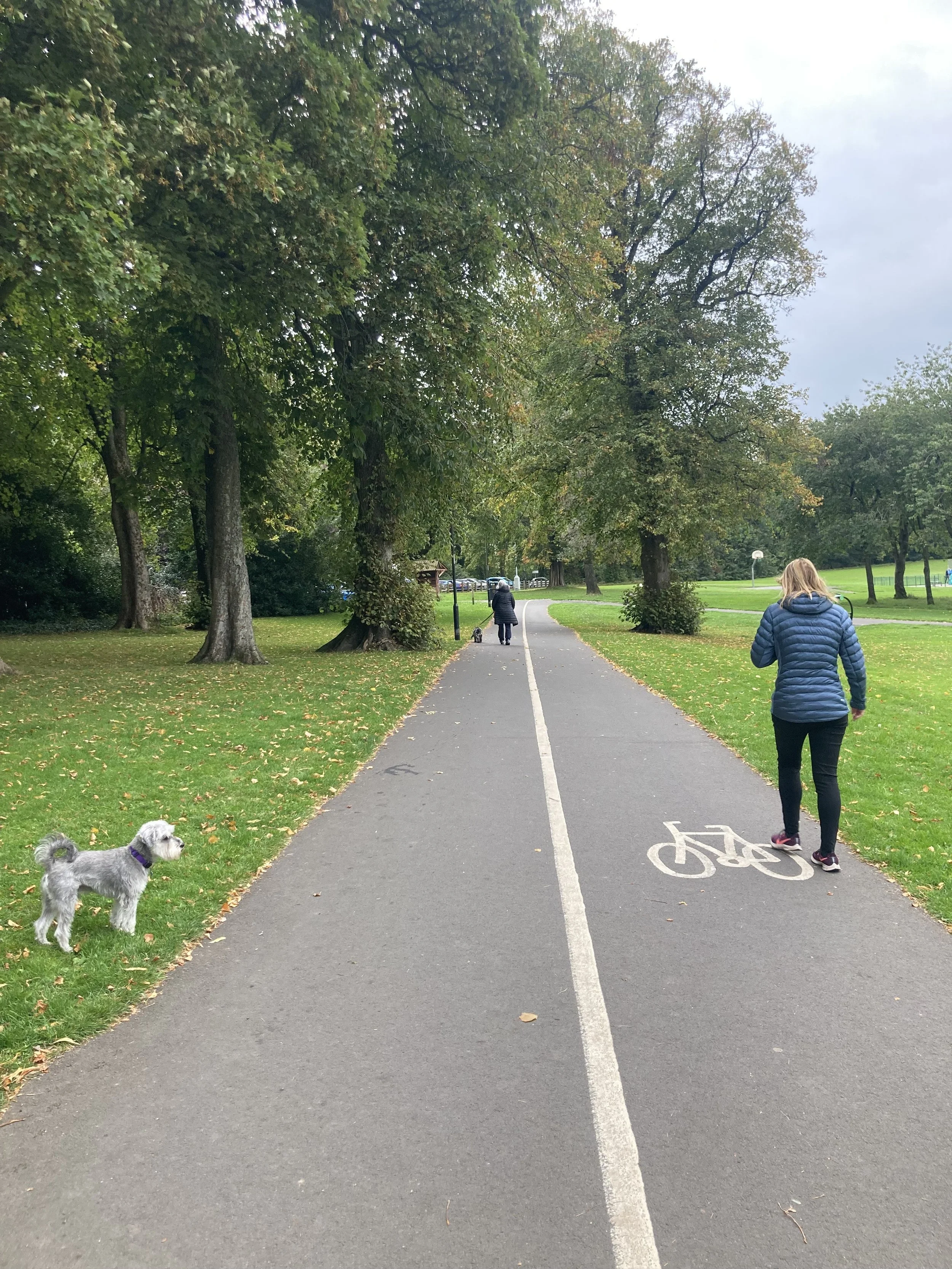 Rouken Glen Park autumn 2.jpeg