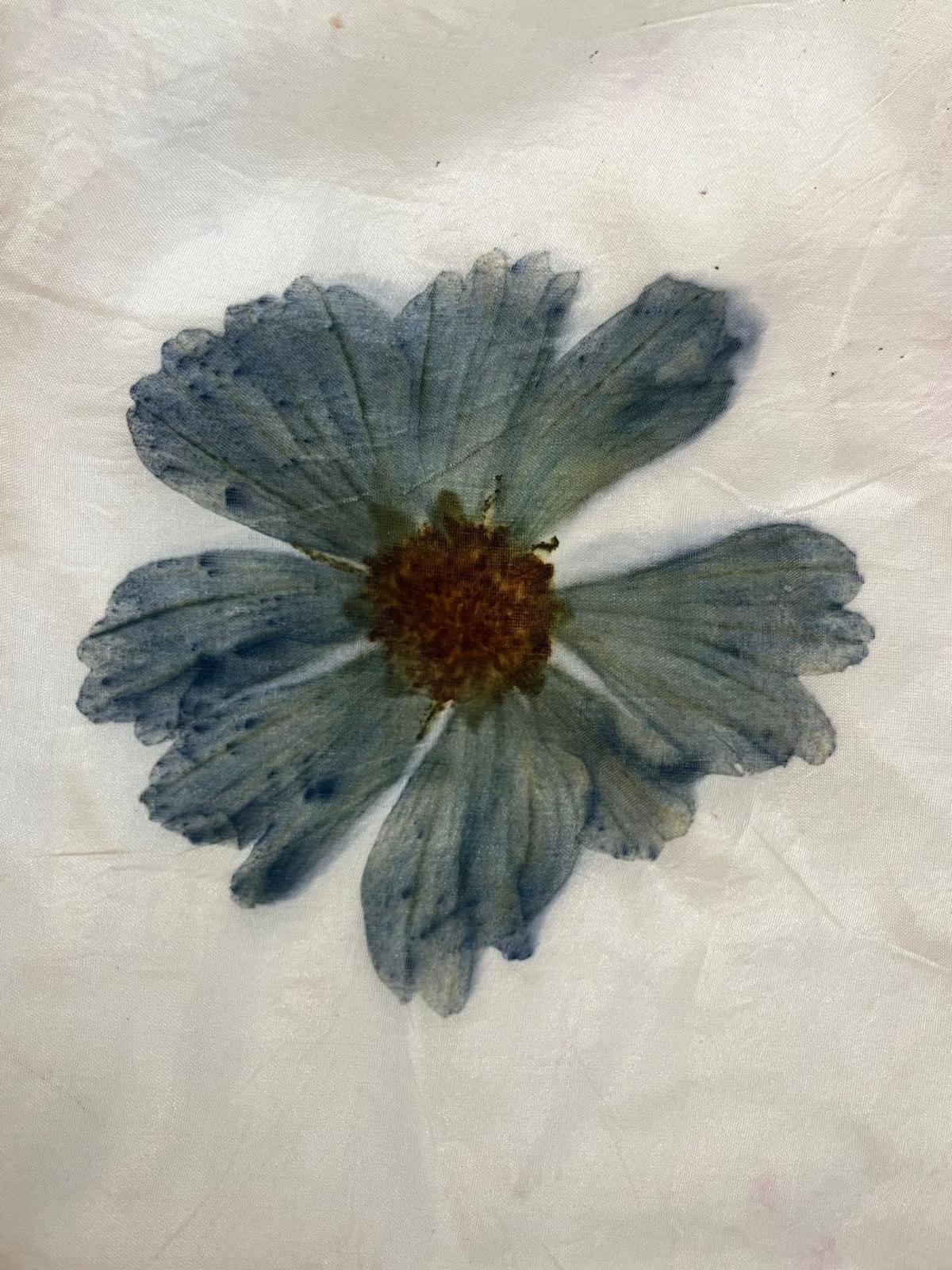 WhatsApp Image 2025-07-17 at 16.00.52 (8).jpeg