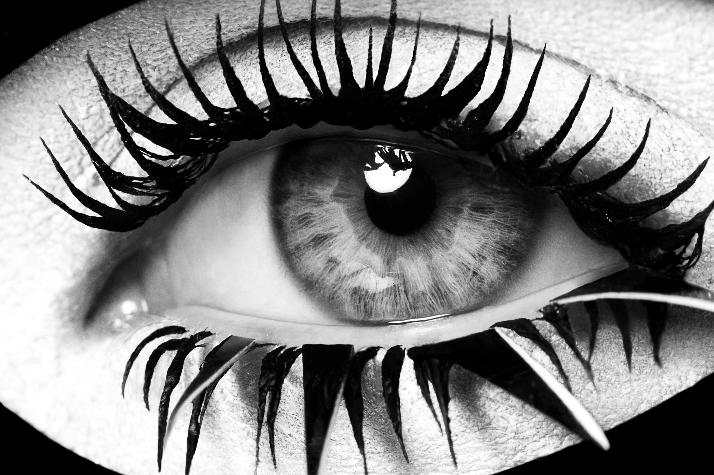 Rankin Exhibit