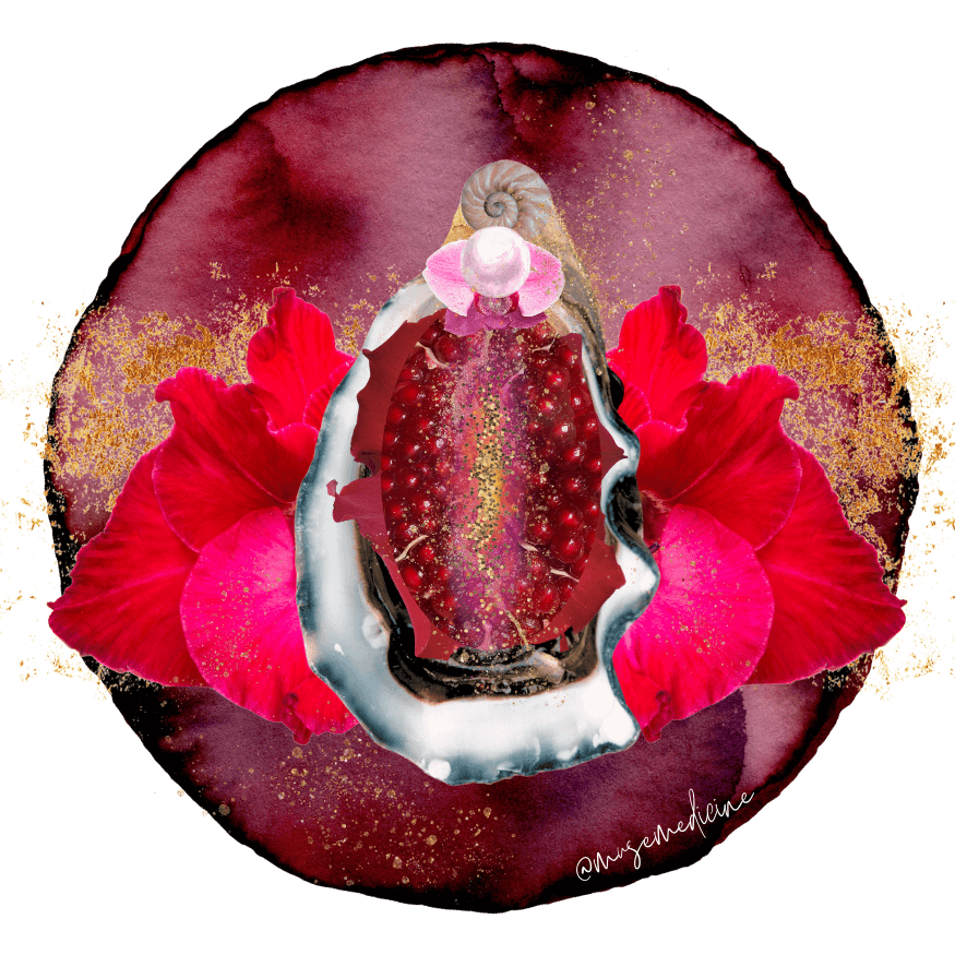 vulva art collage with shell, flowers and gold accent