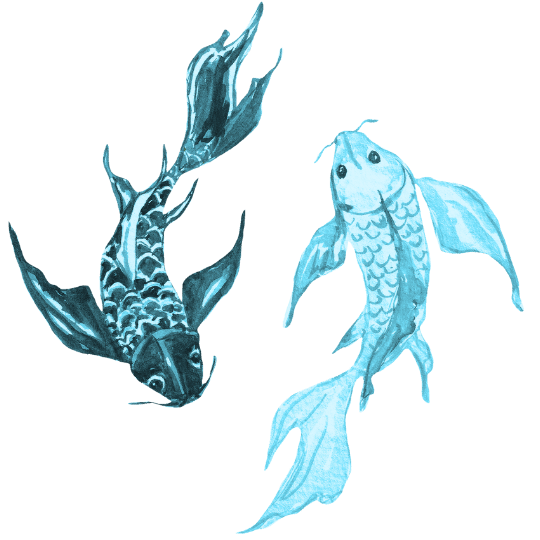 ink and watercolor art or two chinese goldfish swimming in a yin-yang formation