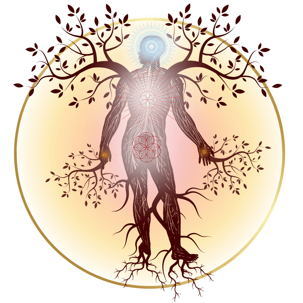 penetrating vessel energetic diagram