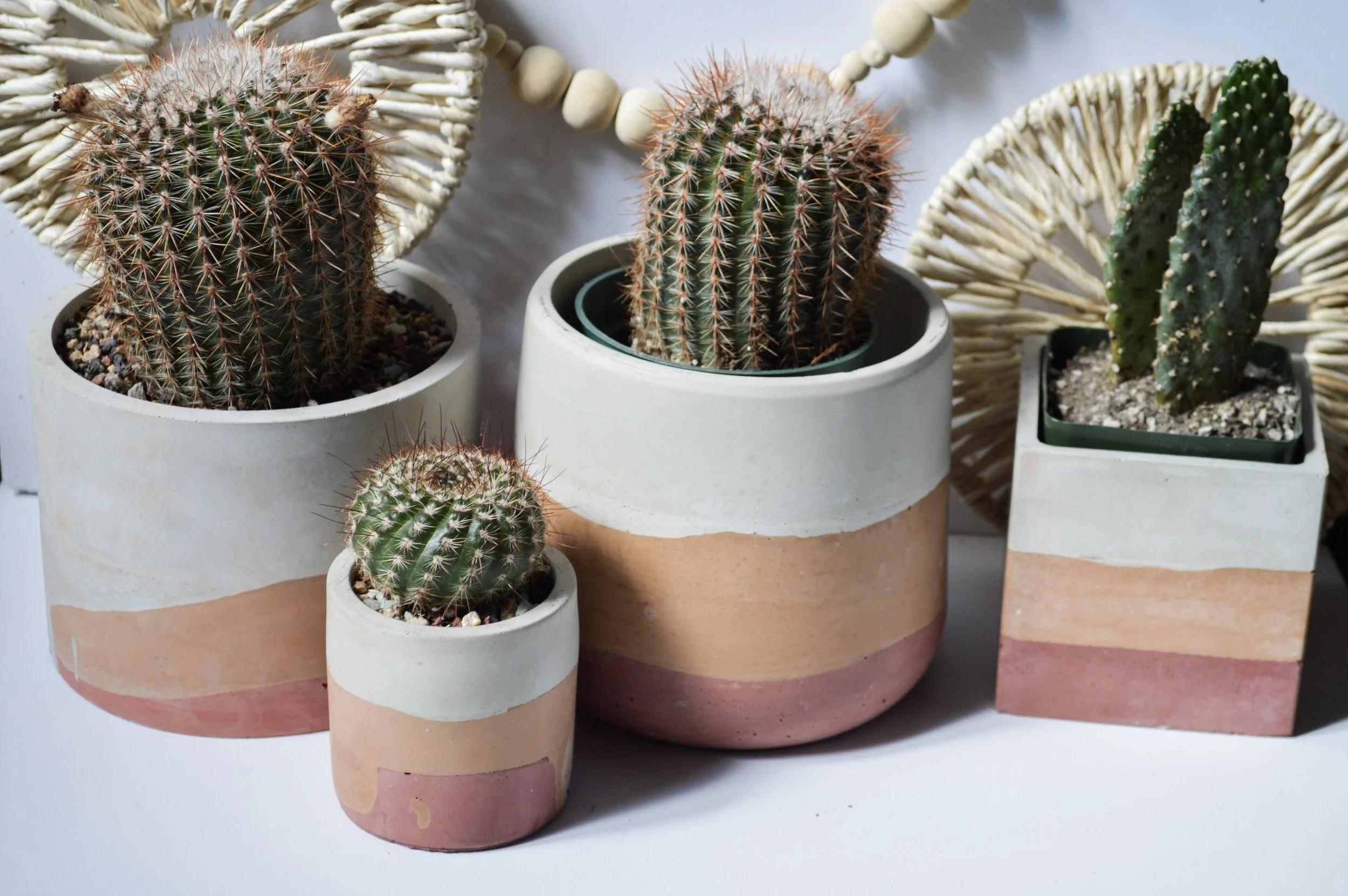 The Cloudy Desert Collection