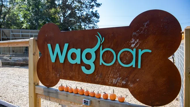 Frances Eliza at WagBar