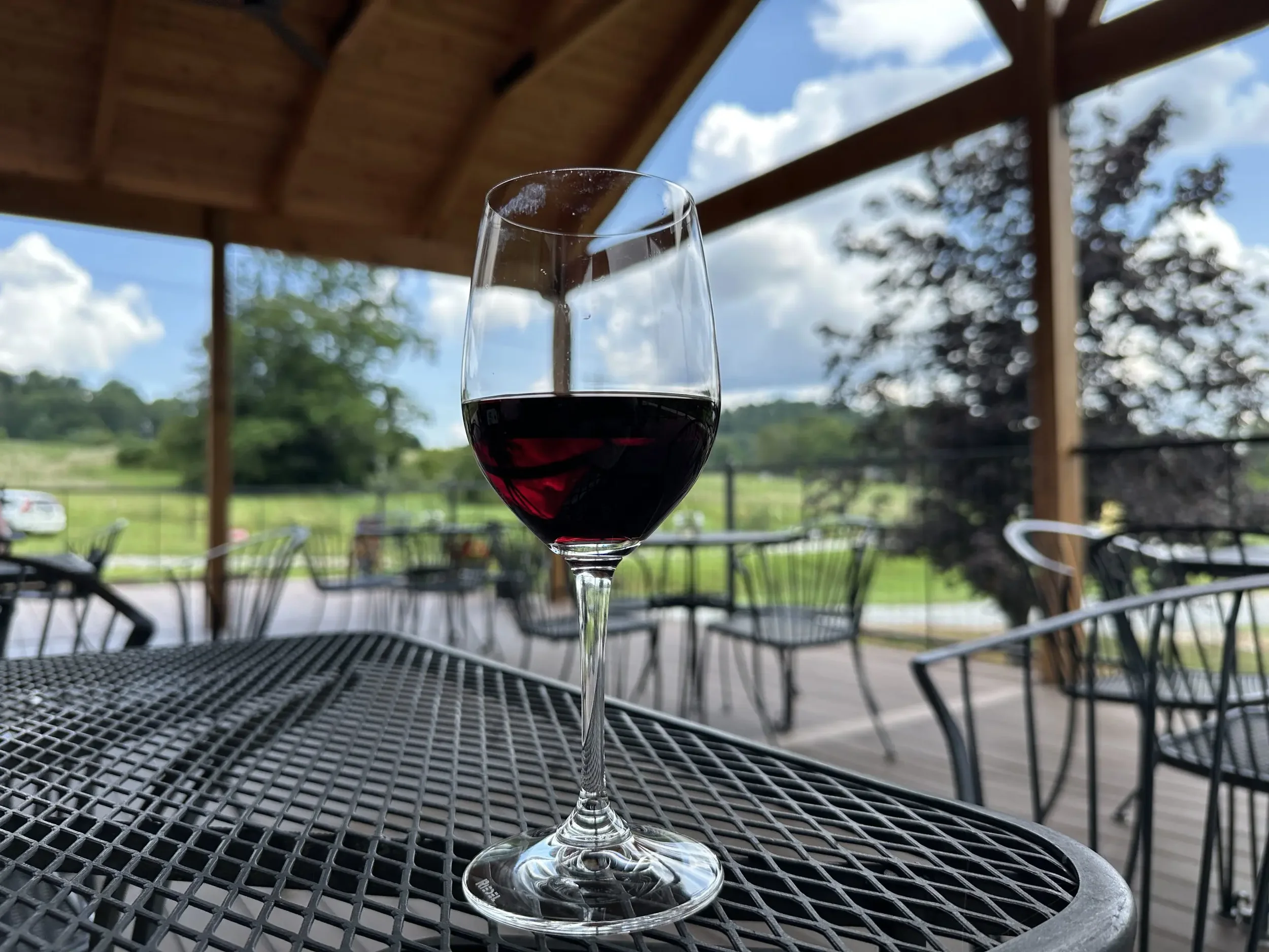 Frances Eliza at Johnson's Legacy Vineyard