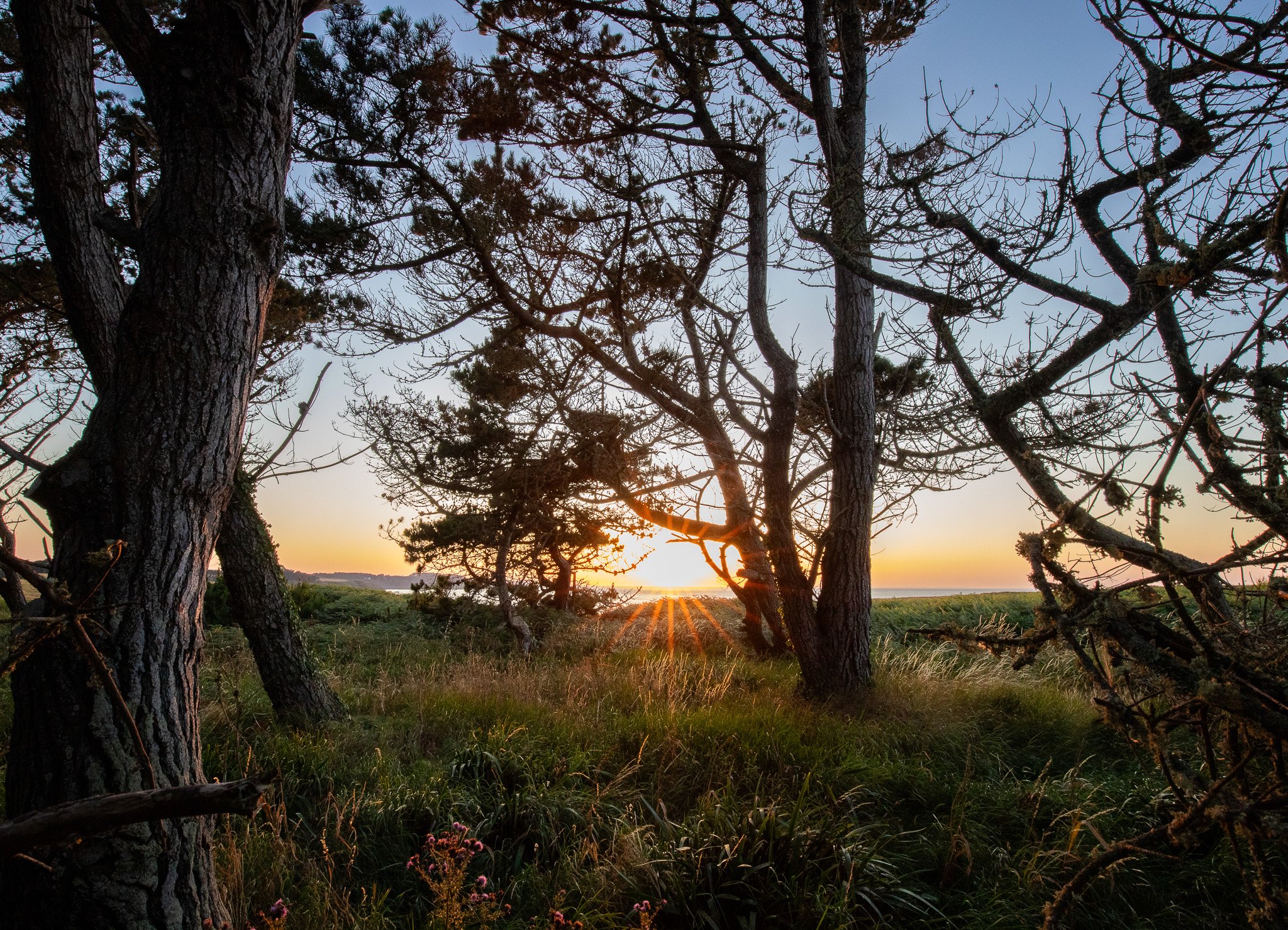 Douce soirée d'été.jpg