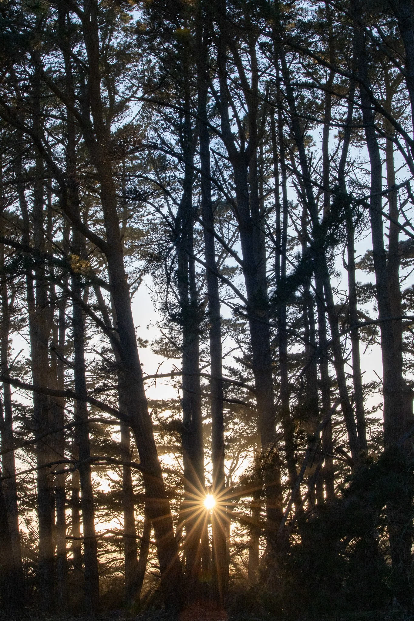 WDS S1E1 Gibenol 17.jpg