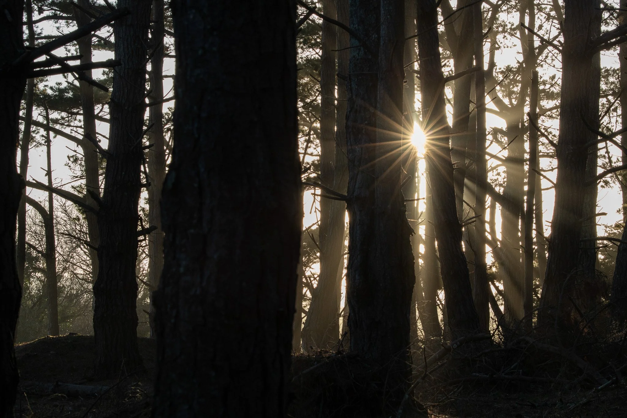 WOODIES - S1 E1 - Février - Sunset