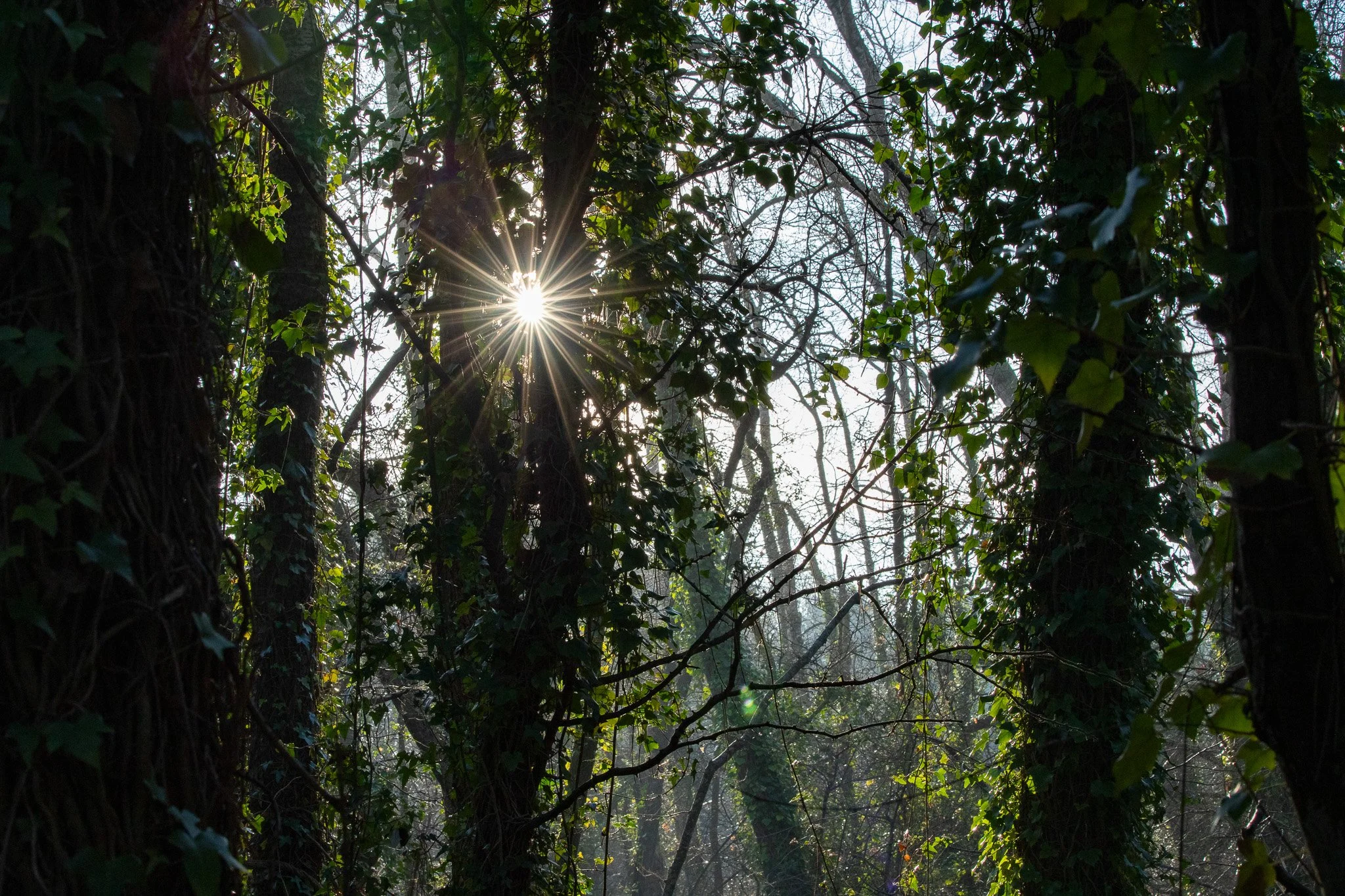 WOODIES - S1 E1 - Février - Sunrise