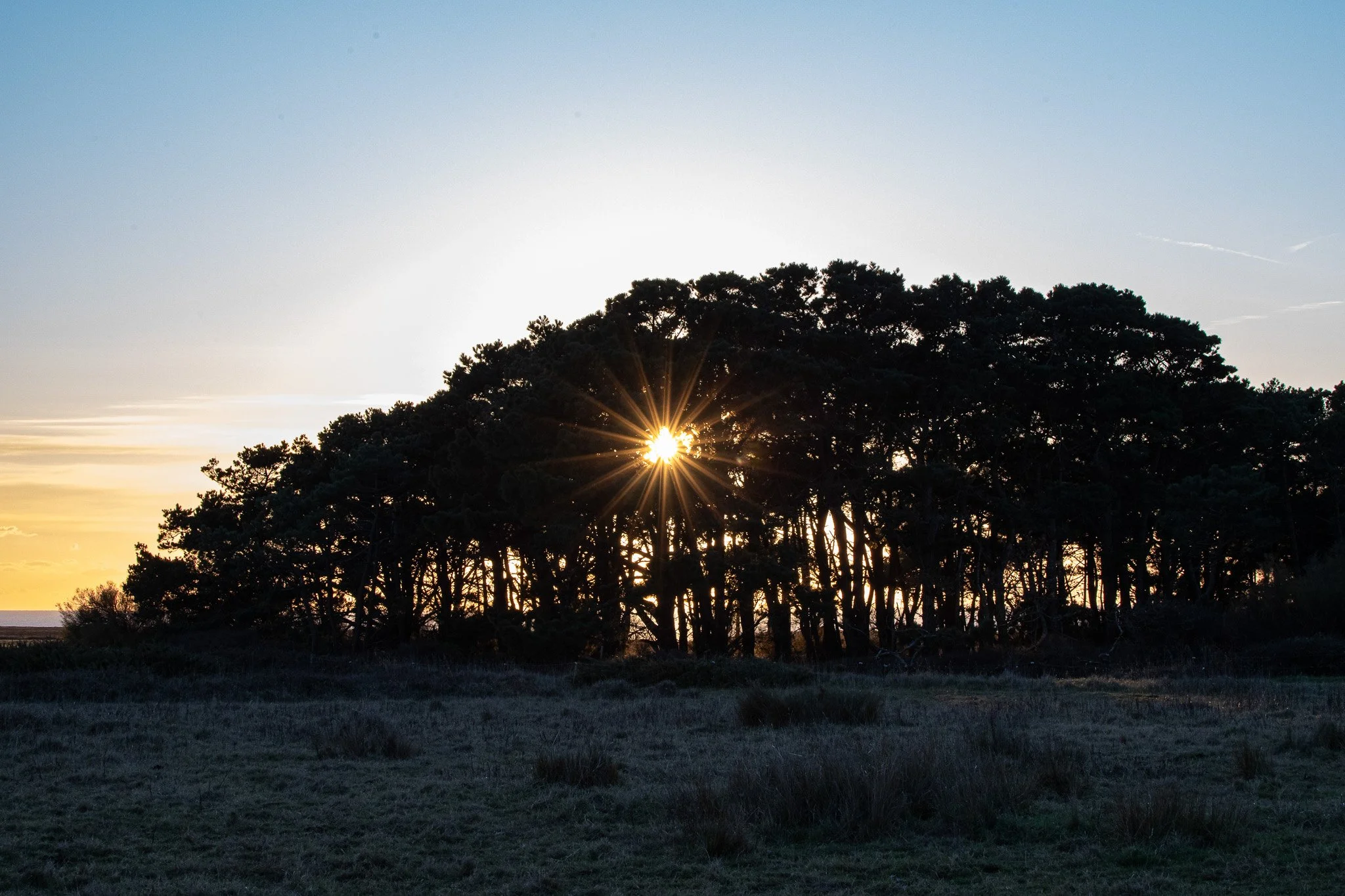 WOODIES - S1 E1 - Décembre - Sunset