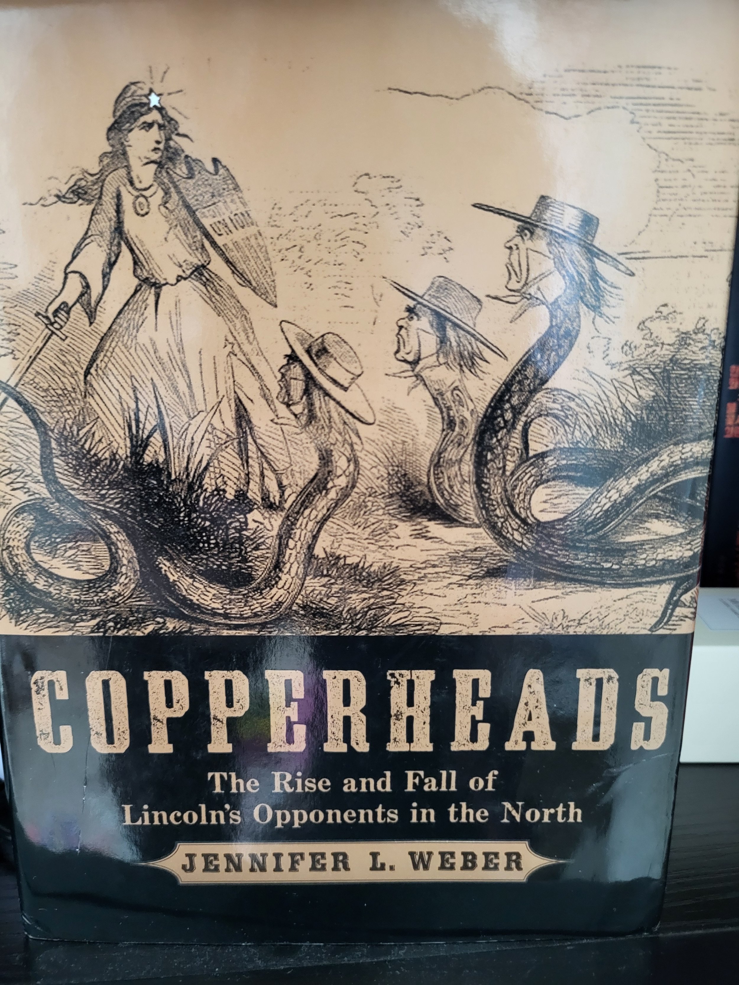 Copperheads: The Rise and Fall of Lincoln's Opponents in the North by Jennifer L. Weber