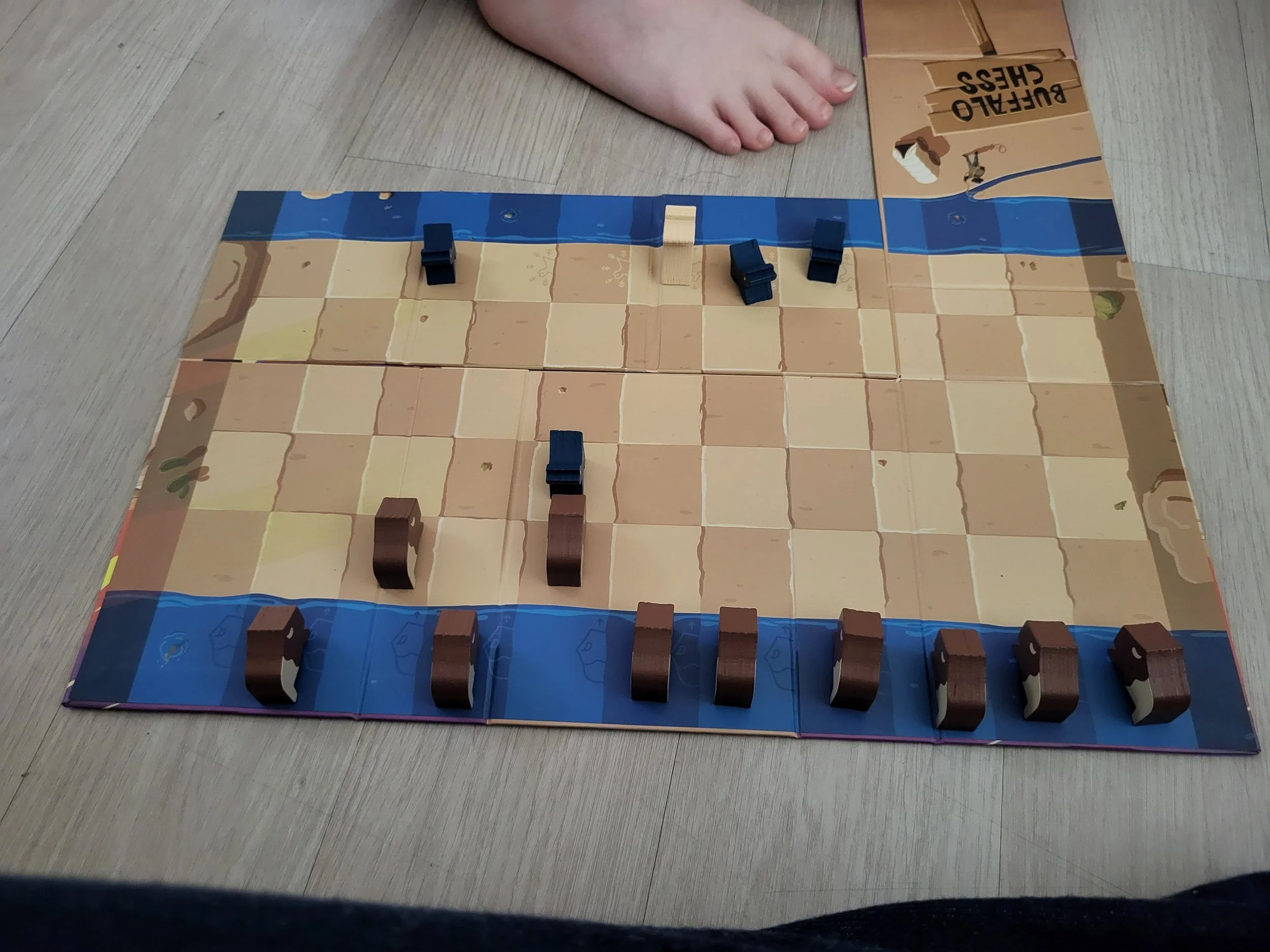 A game of Buffalo Chess from the Buffalo players perspective. It's only the second move. My daughter's foot has also creeped into the picture.