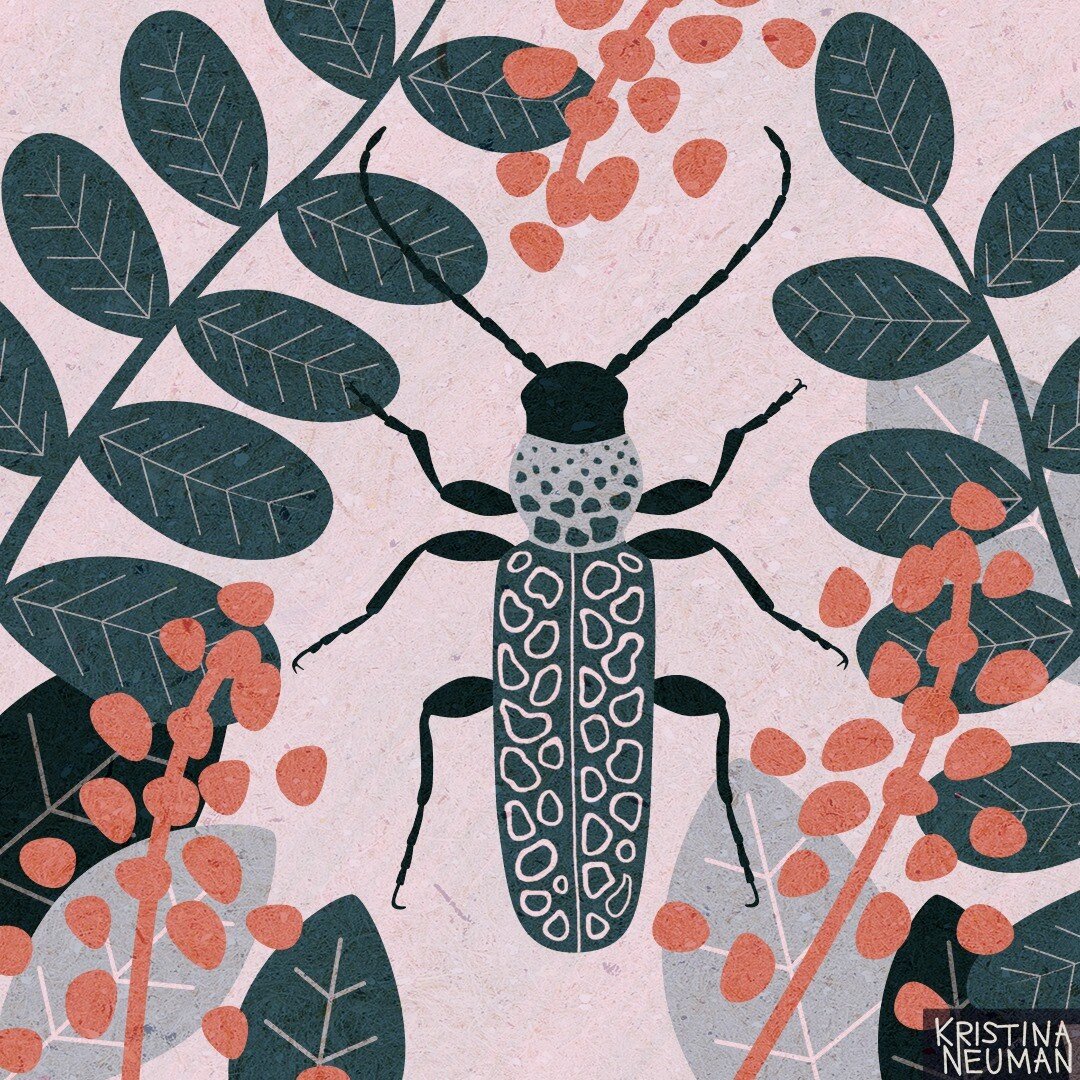 2/6 - The second beetle in my #beetleillustration series.

#affinitydesigneripad #surfacedesign #surfacepattern #surfacedesigner #artlicensing #freelanceillustrator #illustration #illustratorsoninstagram #femaleartist #womeninillustration #digitalart