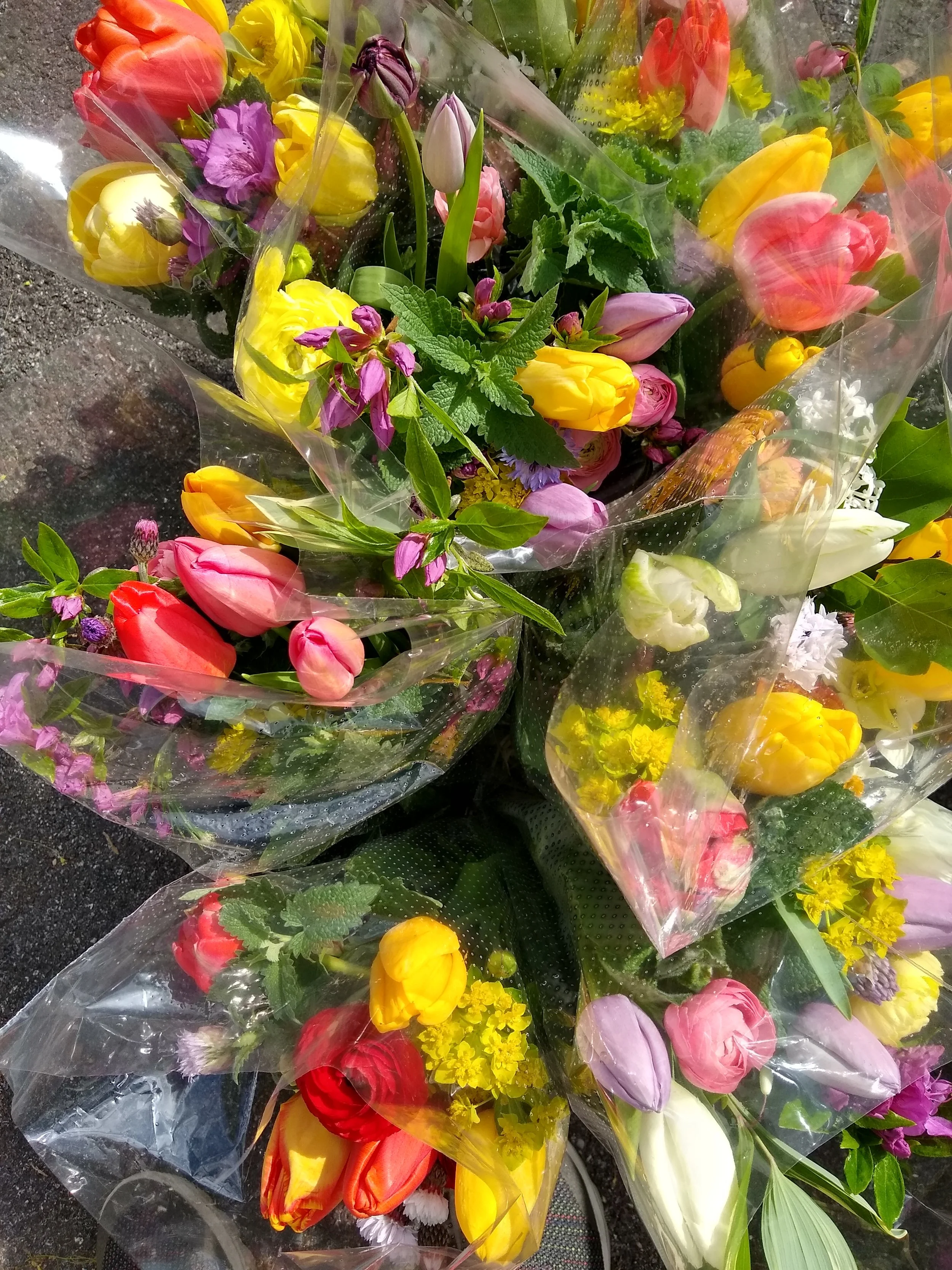 Spring Tulip Bouquet Subscription - 4 Weeks