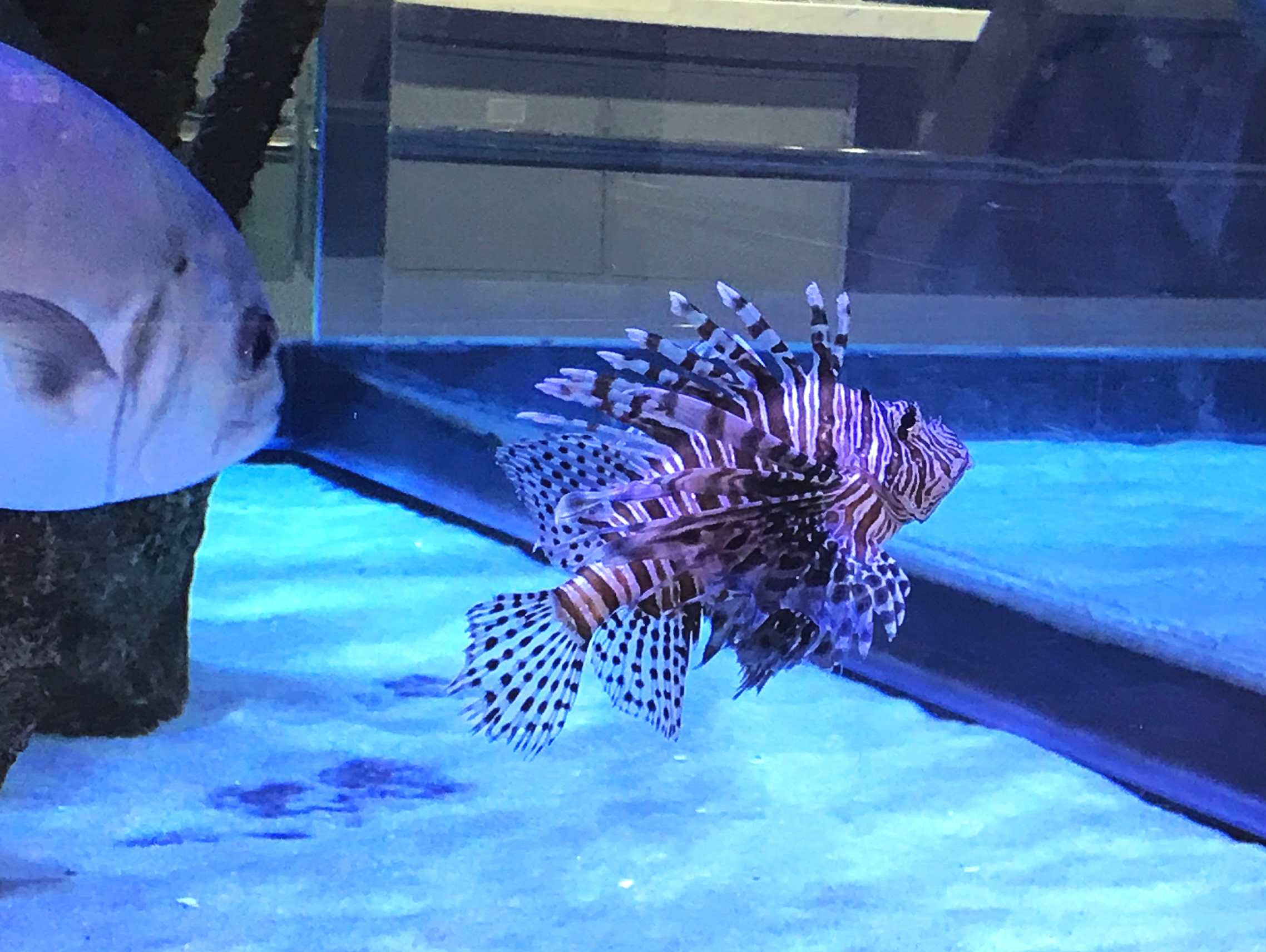 August 10-14 - Under the Sea