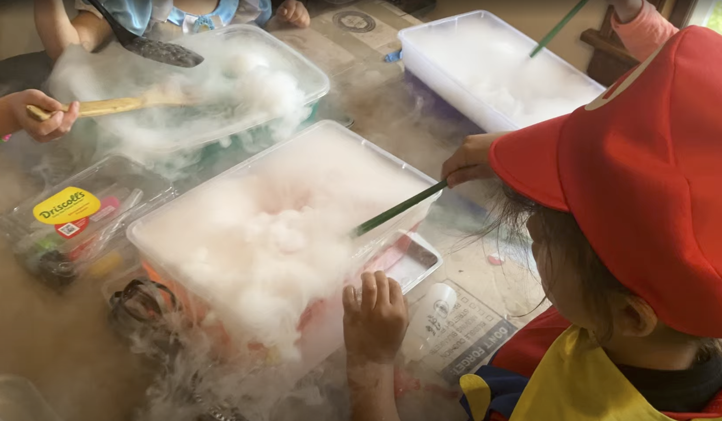 June 8-12 - Wizards and Witches