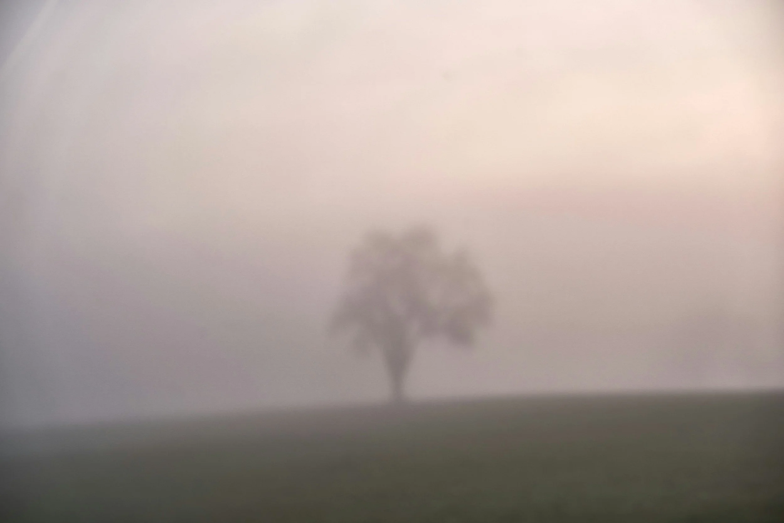 Understanding the New Landscape of Alternative Education: Co-ops, Hybrids, Pods, and Microschools