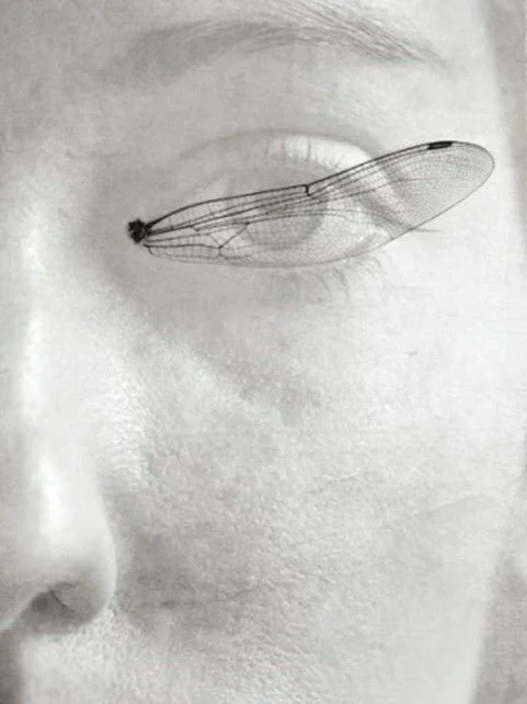 OCULAR ORACLE - THE OCCULT ECOLOGY OF SEEING