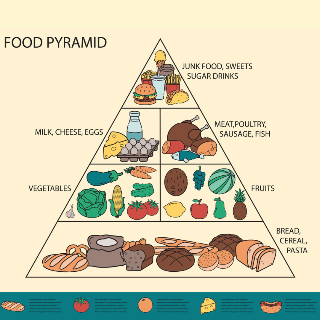 The Food Pyramid Lie – How Outdated Dietary Guidelines Mislead the Public