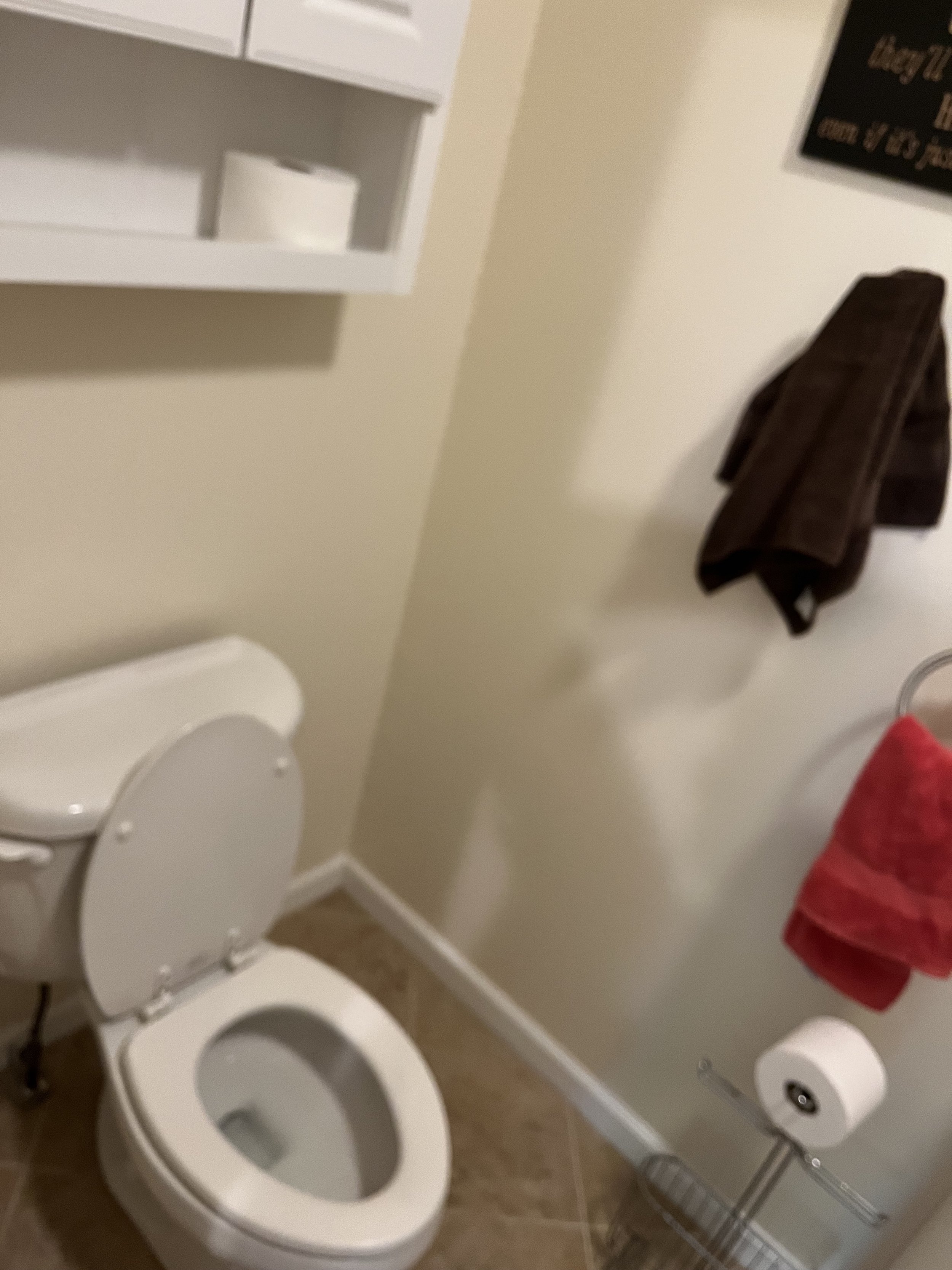 IMG_6349.jpeg