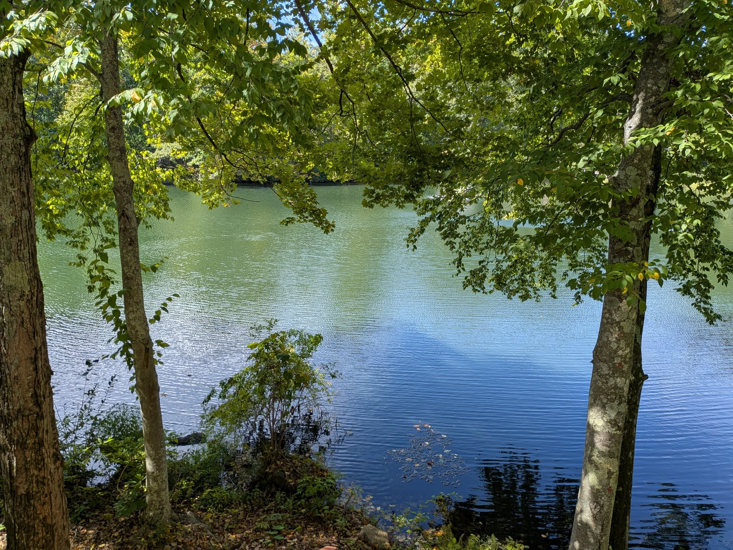PXL_20260921_163849780.jpg