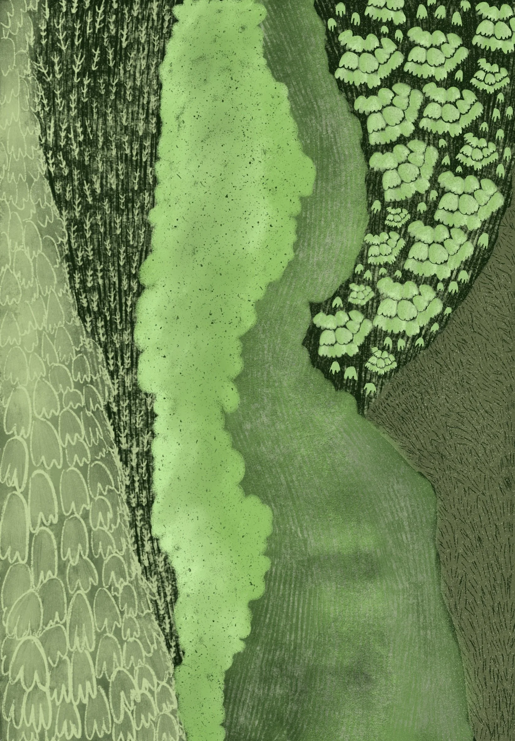 Close-up of various types of green mosses and lichen growing on tree bark.