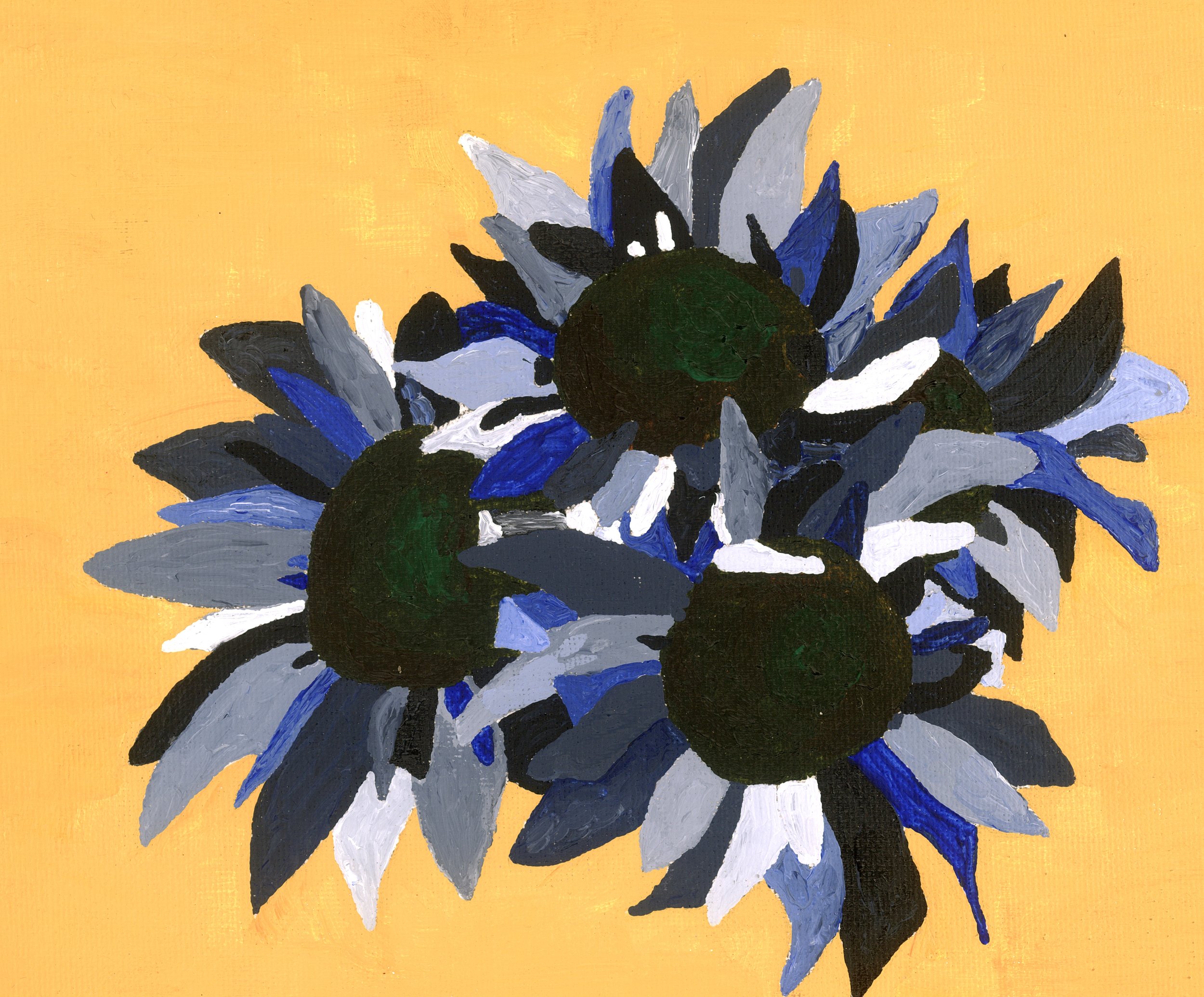 ***sunflower negative 3914 - Hayman Scans_D EDIT.jpeg