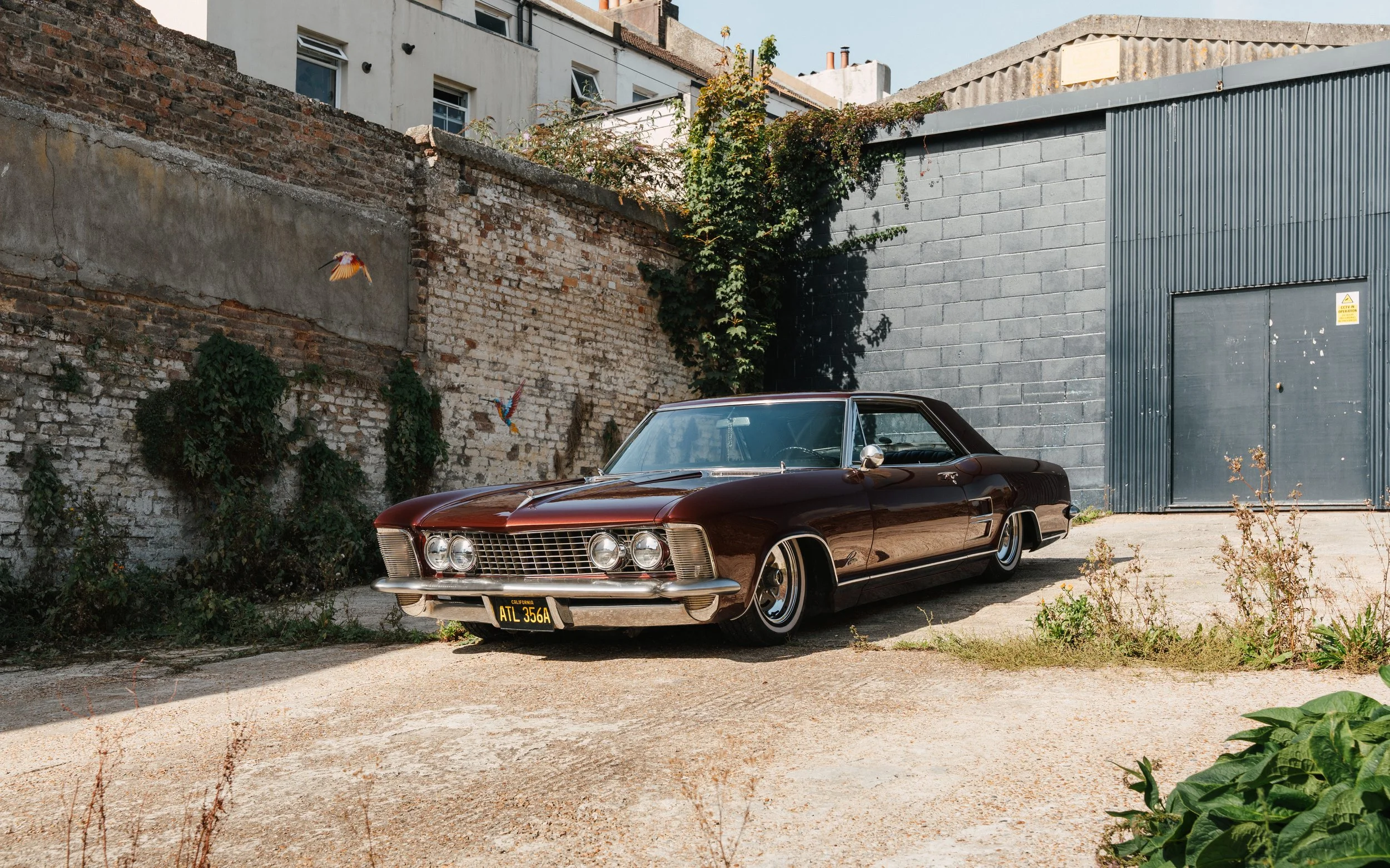 A vintage maroon Cadillac car parked outdoors near an industrial building with brick and metal walls. Two colorful birds are flying in the gray brick wall background, and some greenery and plants are visible nearby.