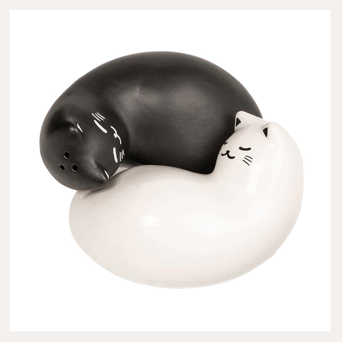 purrfect salt pepper shaker 1.png