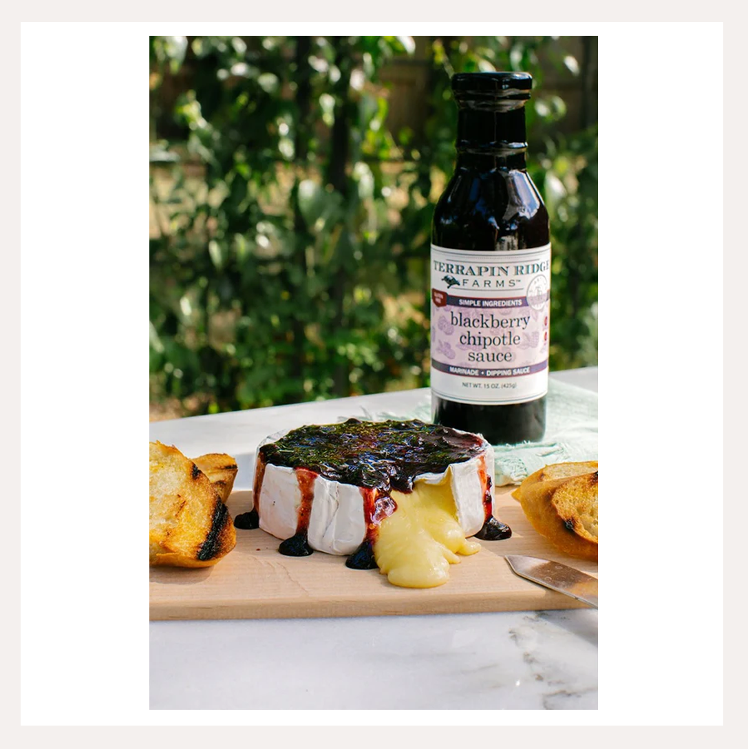 blackberry chipotle sauce 4.png
