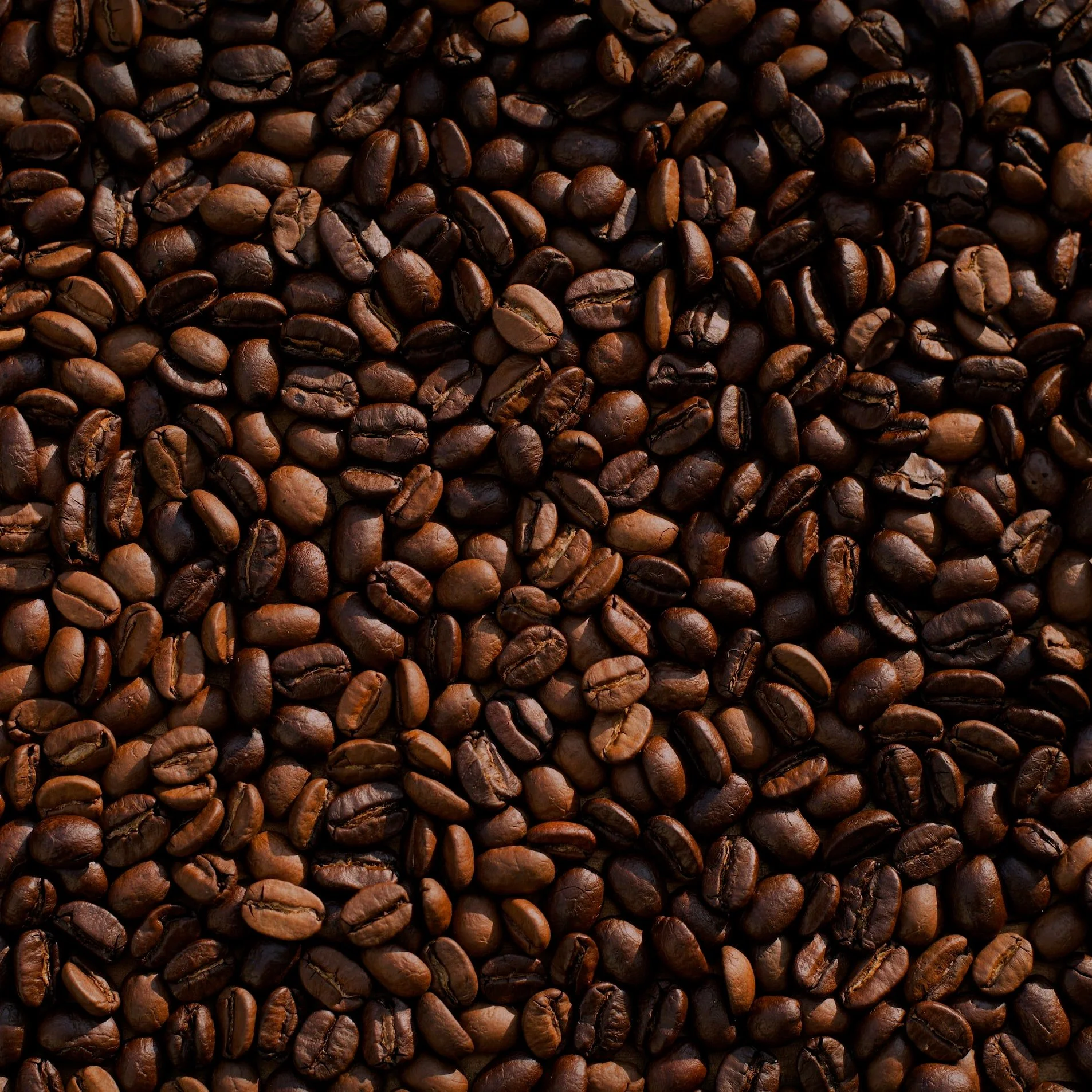 Galena Roasters Coffee
