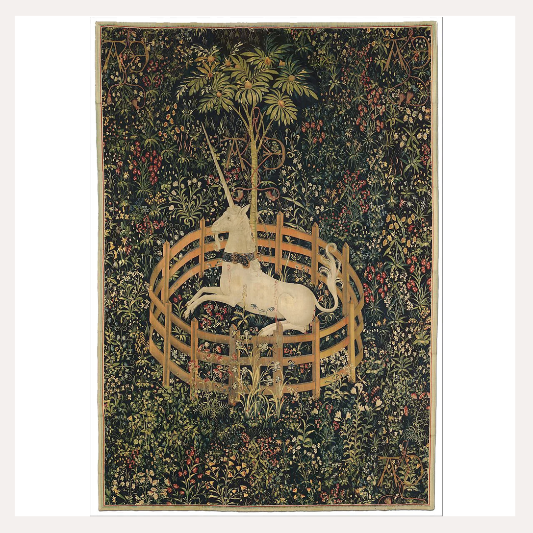 unicorn garden 2.png