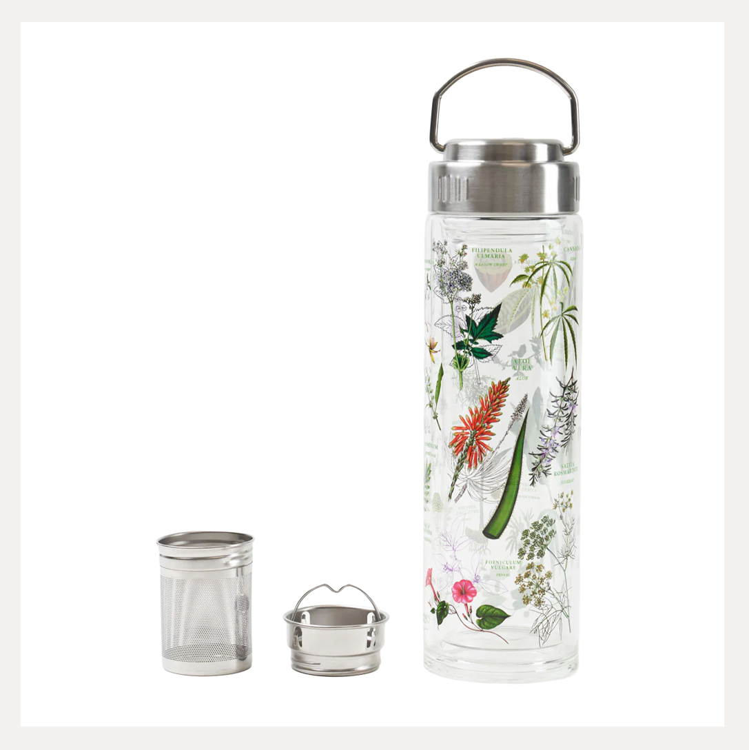 medicinal botany glass infuser.png