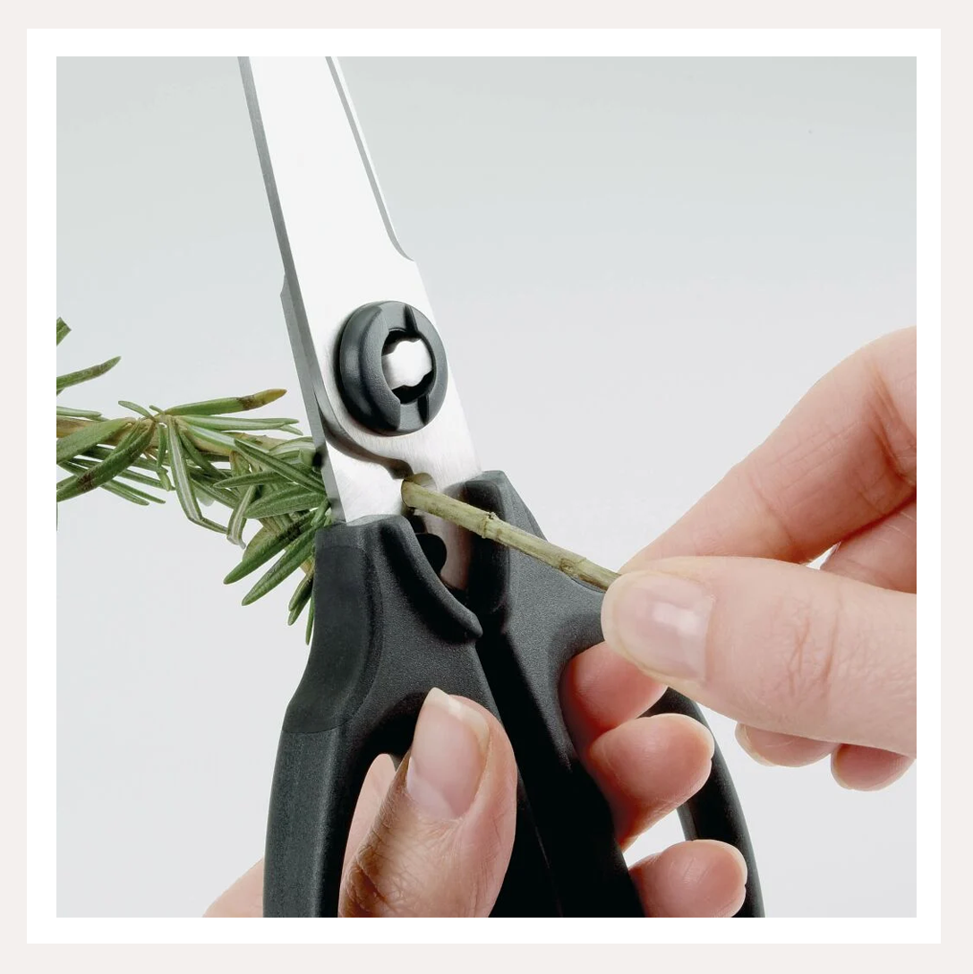 oxo scissors 2.png