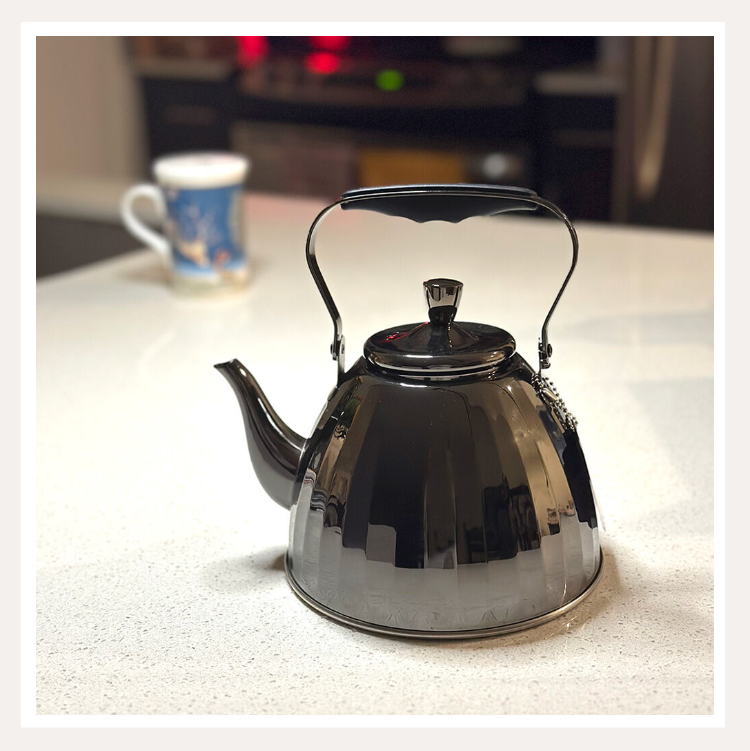 stainless steel teapot 2.png