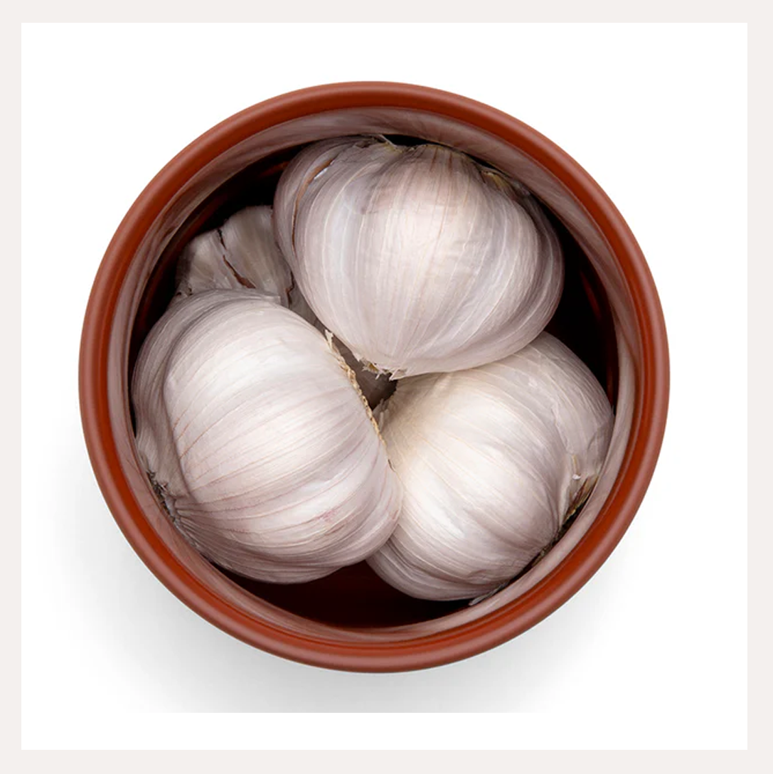 terracotta garlic keeper 7.png