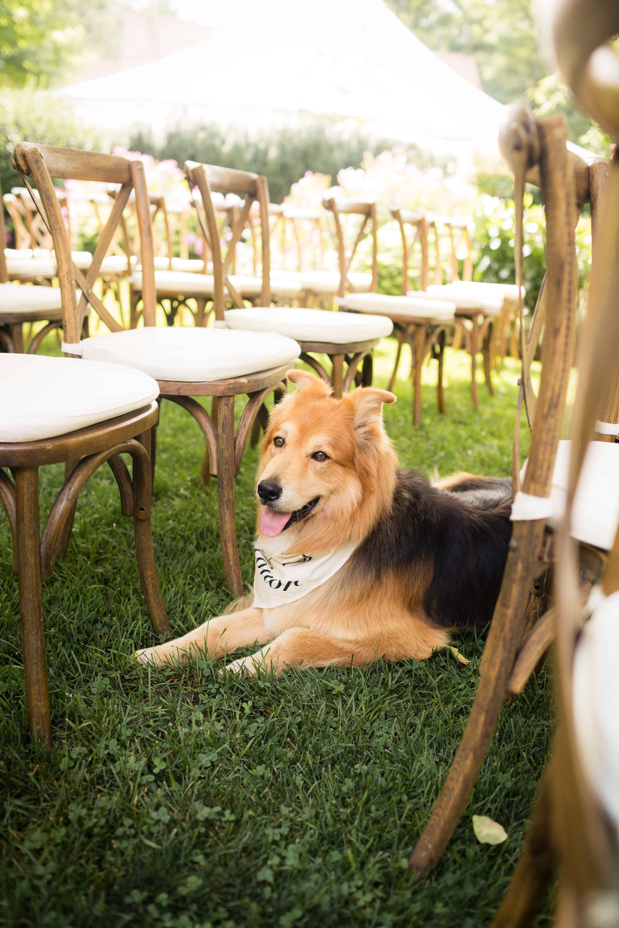 Puslinch-Backyard-Wedding-V&A-23.jpg