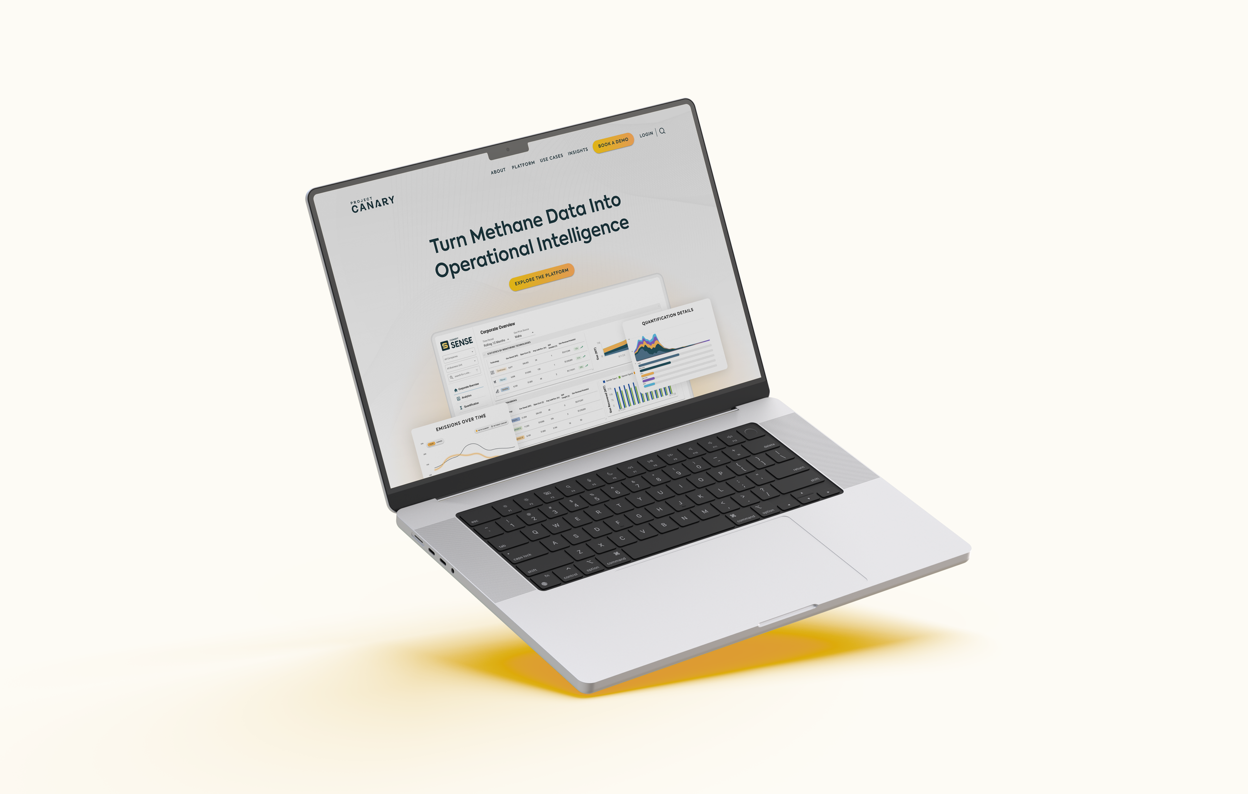 Brand System & Website
Project Canary