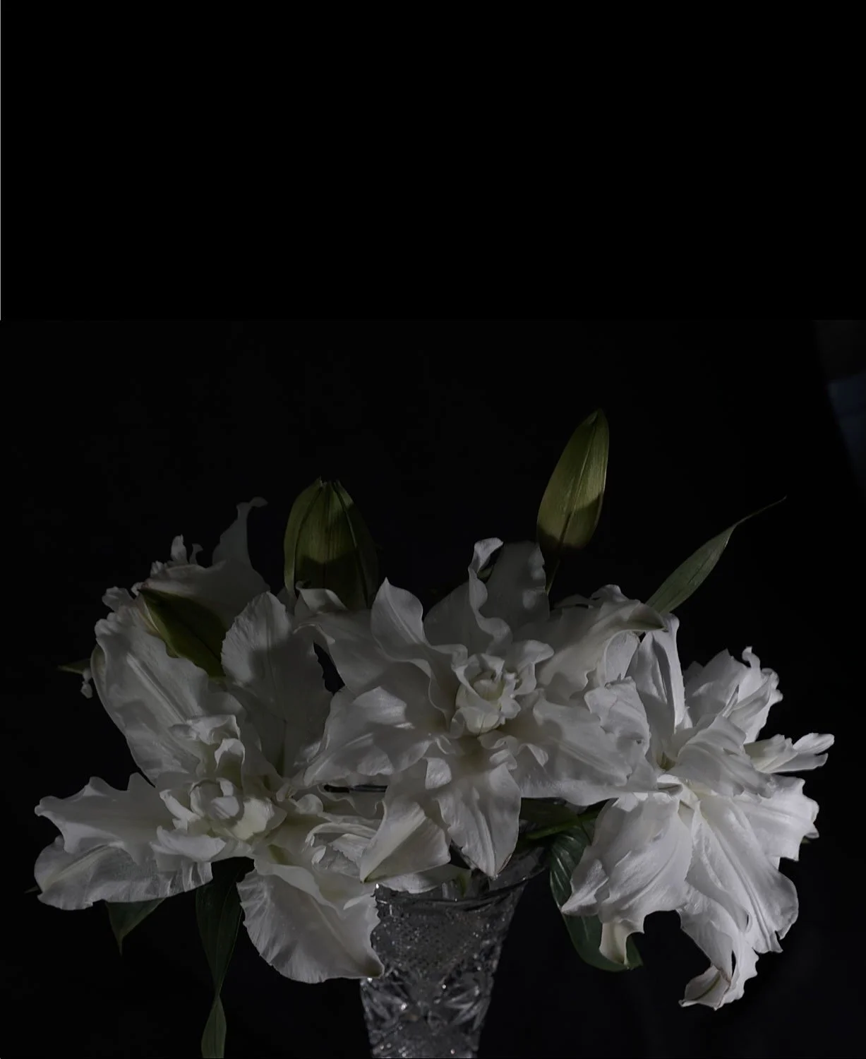 Double Lilies I  2026