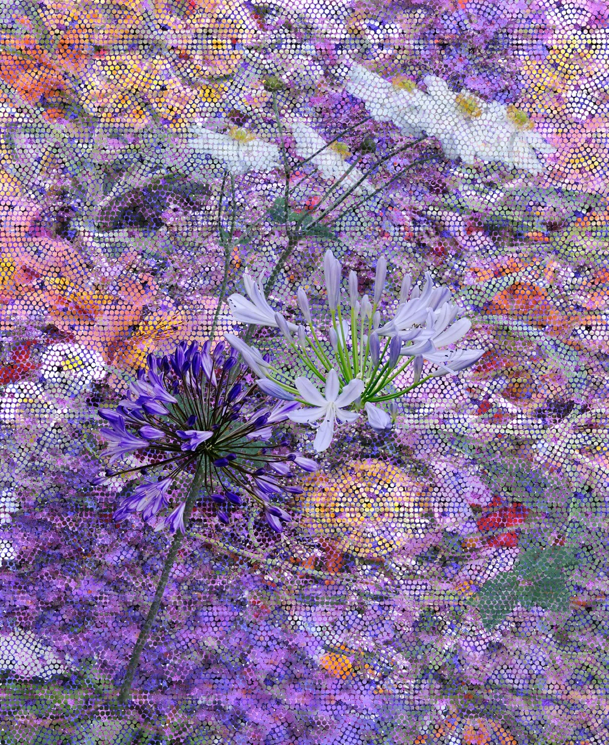 Garden I  2026