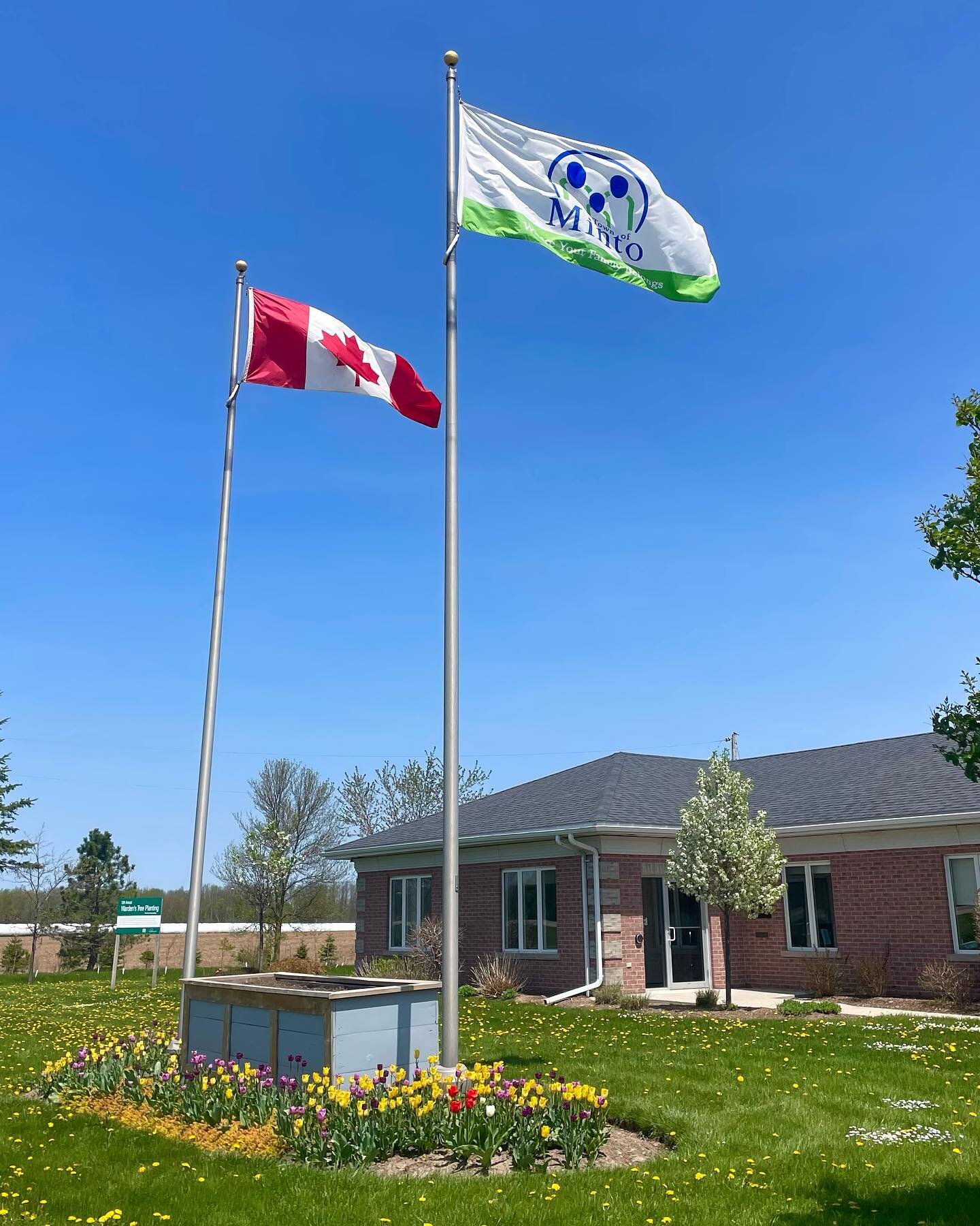 Sunny #Spring days in #Minto have us looking forward to all the exciting upcoming events &amp; activities. 🤩☀️💐 Visit town.minto.on.ca/events to learn more.  #whereyourfamilybelongs #harristonrising #allaboardpalmerston #cliffordconnets #townofmint