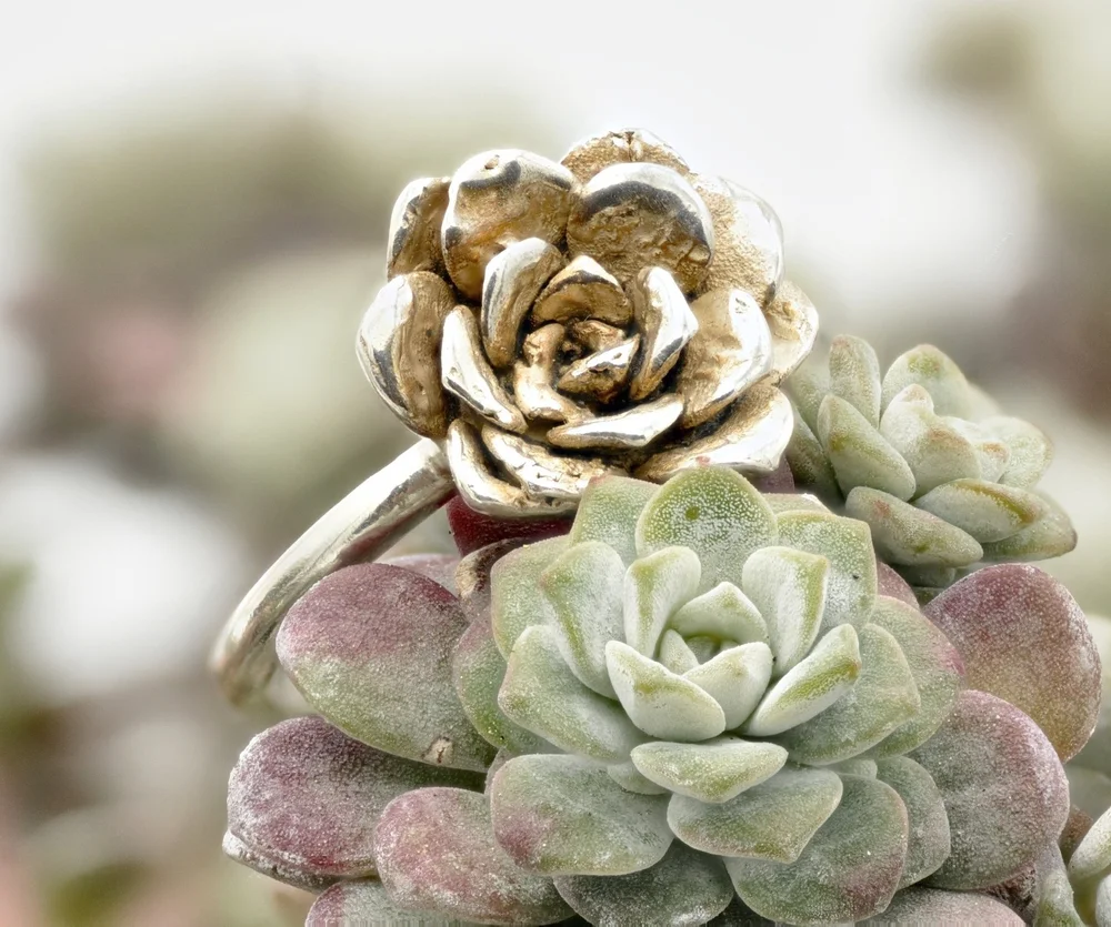 capo-blanco-sterling-silver-rosette-ring-on-plant7 - 1.jpg