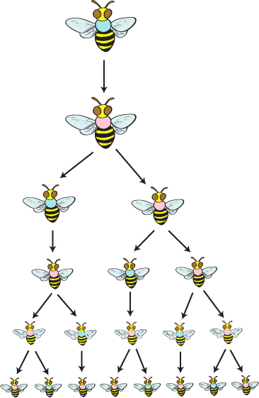 image-asset.png