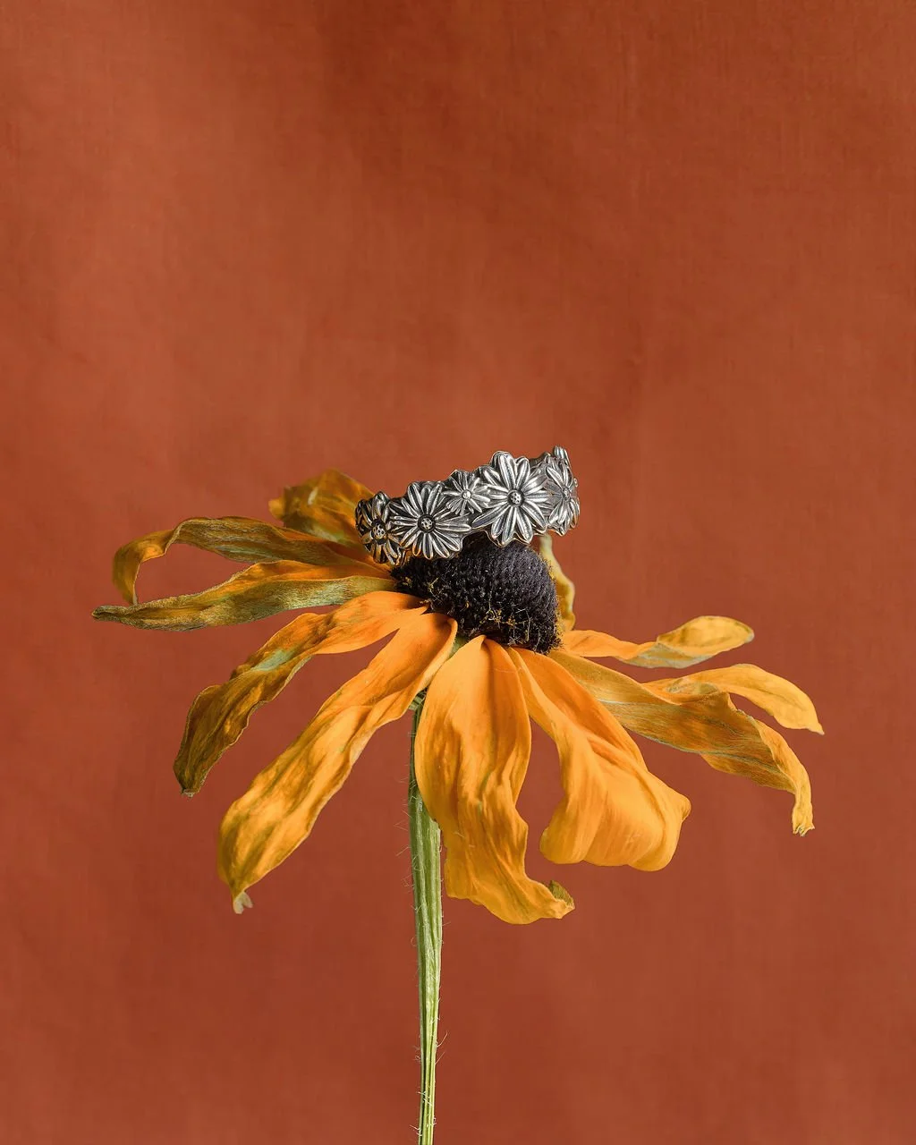 Black-Eyed Susan Ring | (Rudbeckia hirta)
