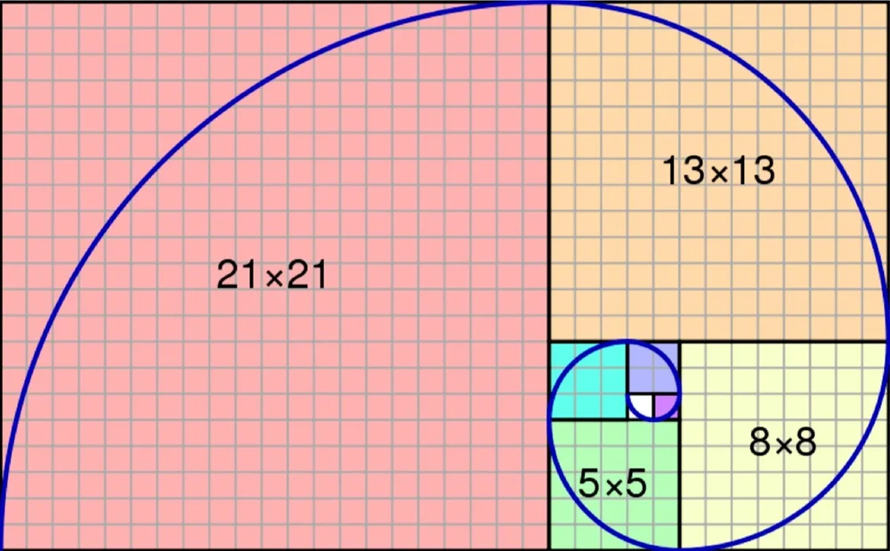 image-asset.jpg